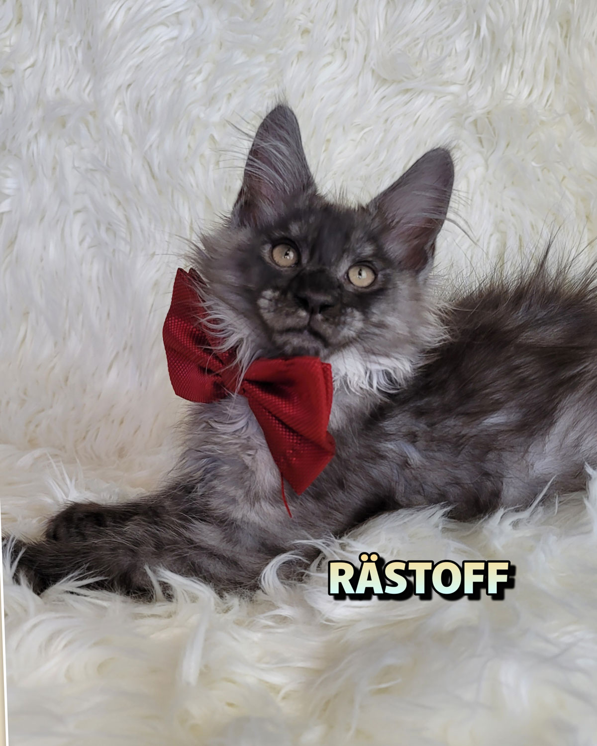 RÄSTOFF-3