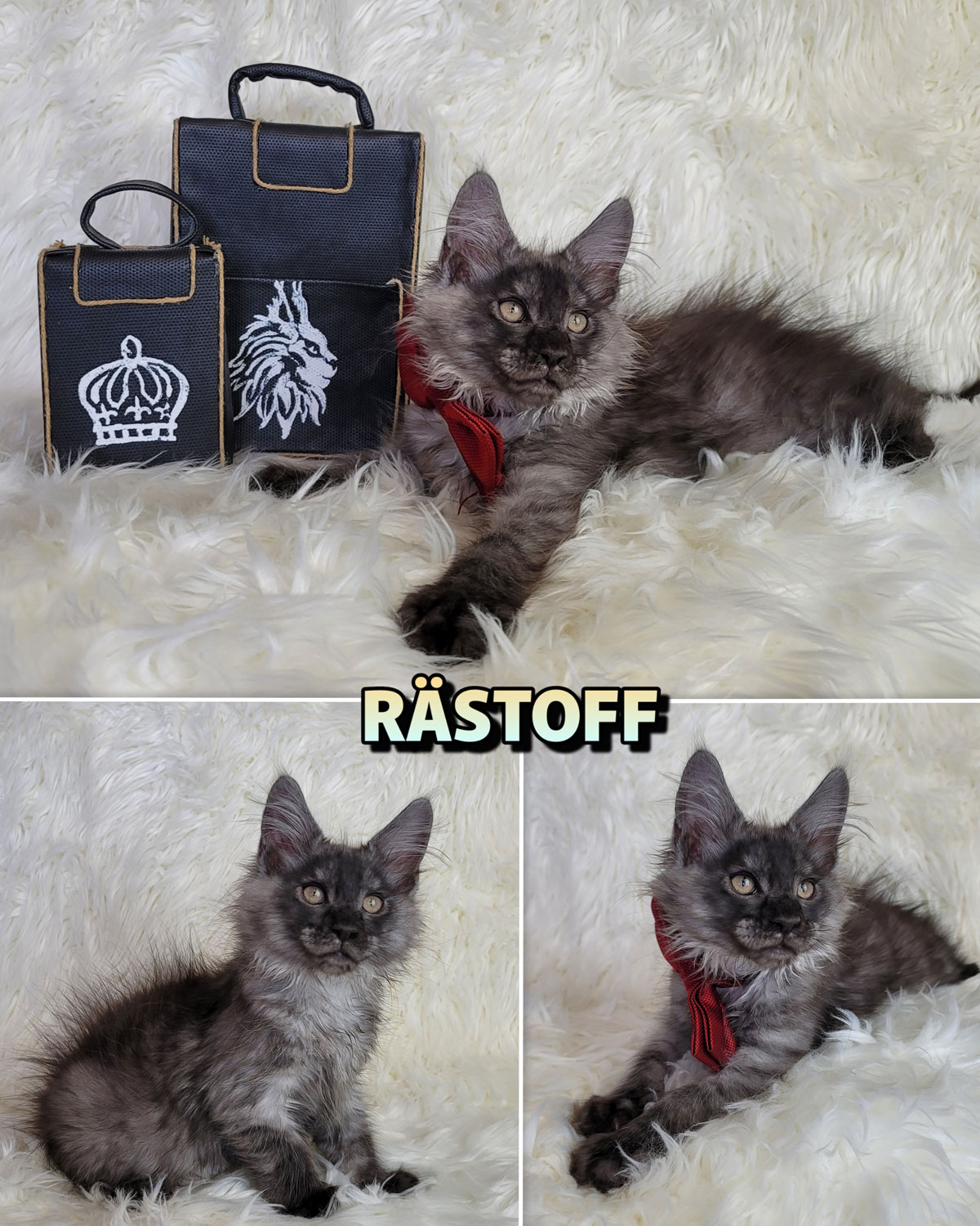 RÄSTOFF-5
