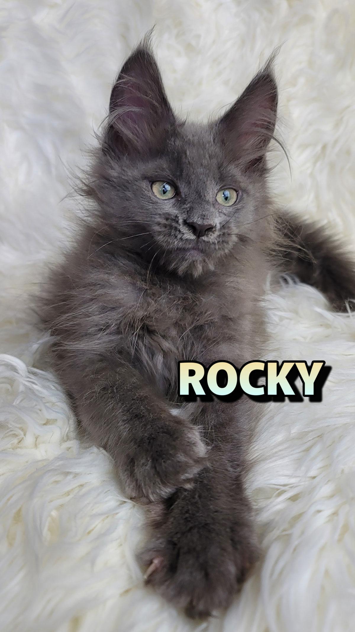 ROCKY-2