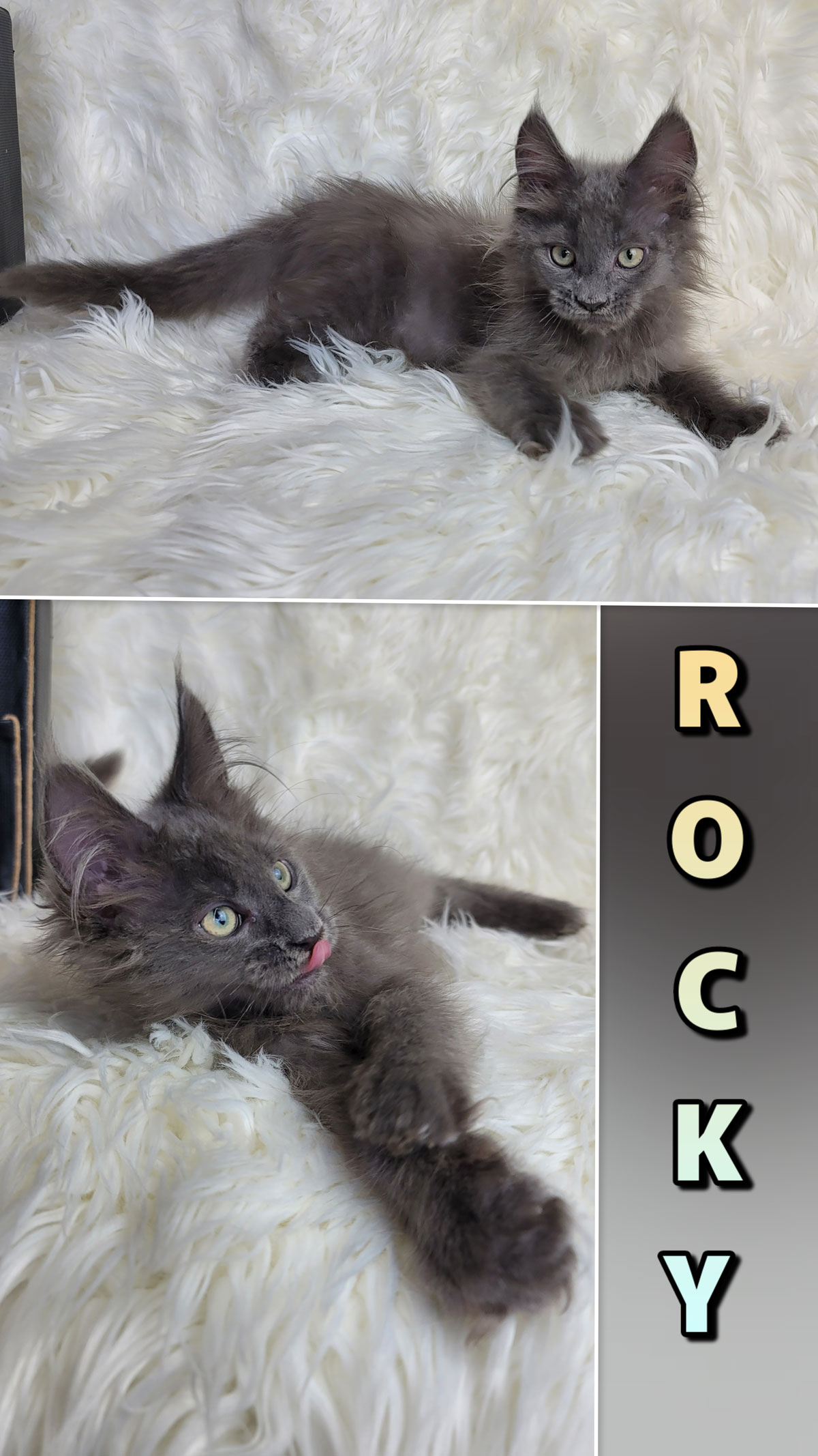 ROCKY-3