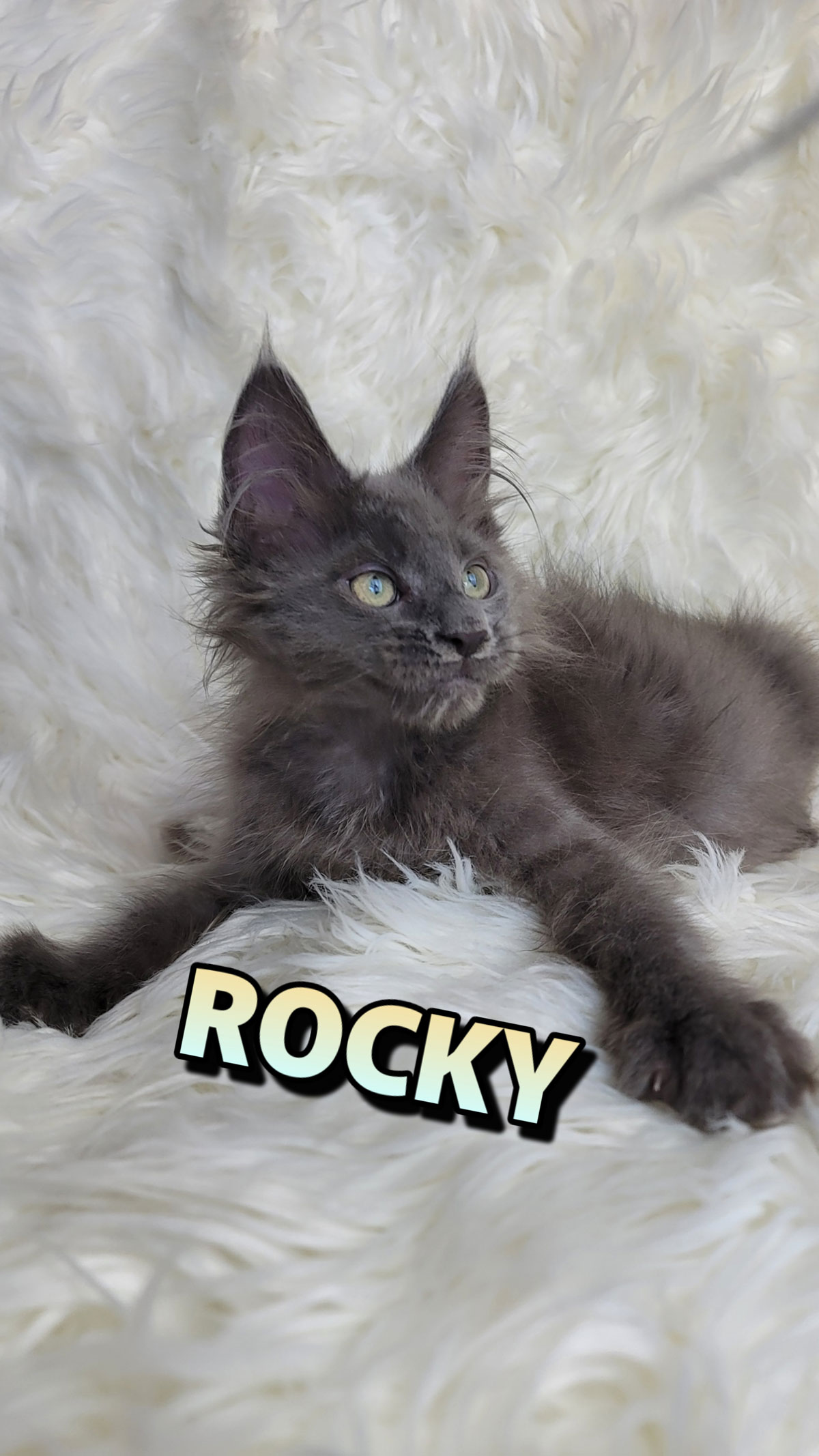ROCKY-4