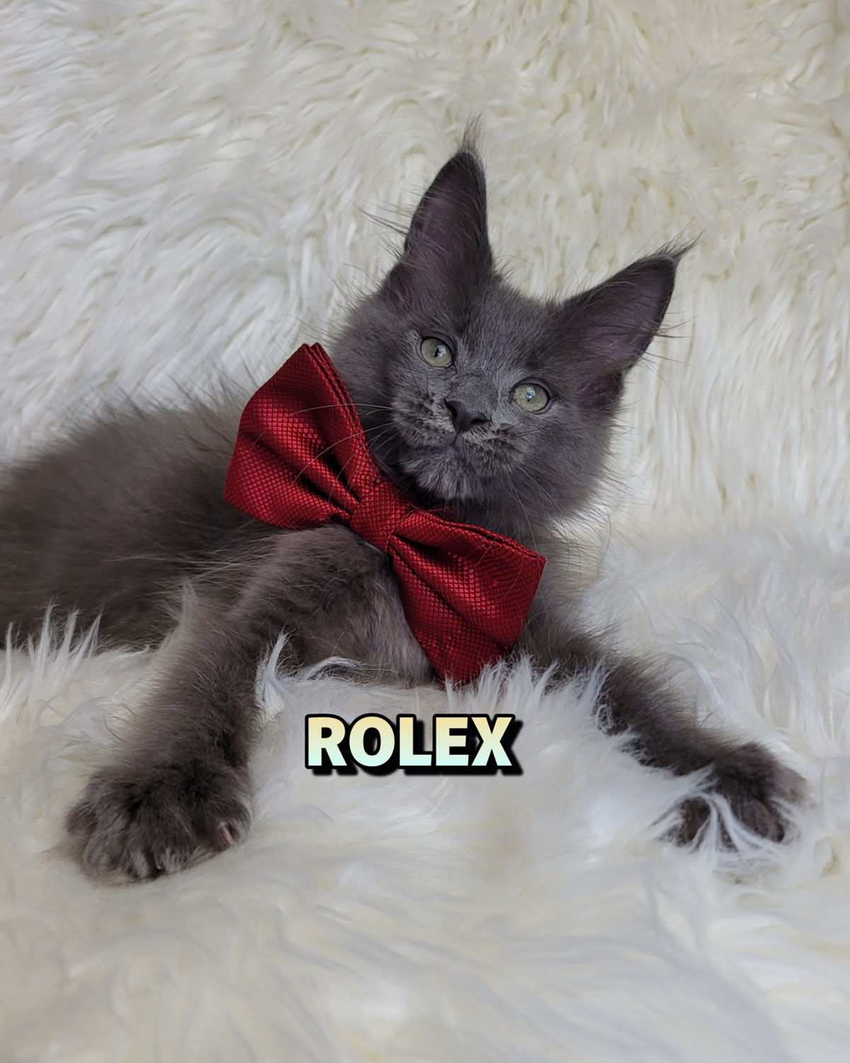 ROLEX-2