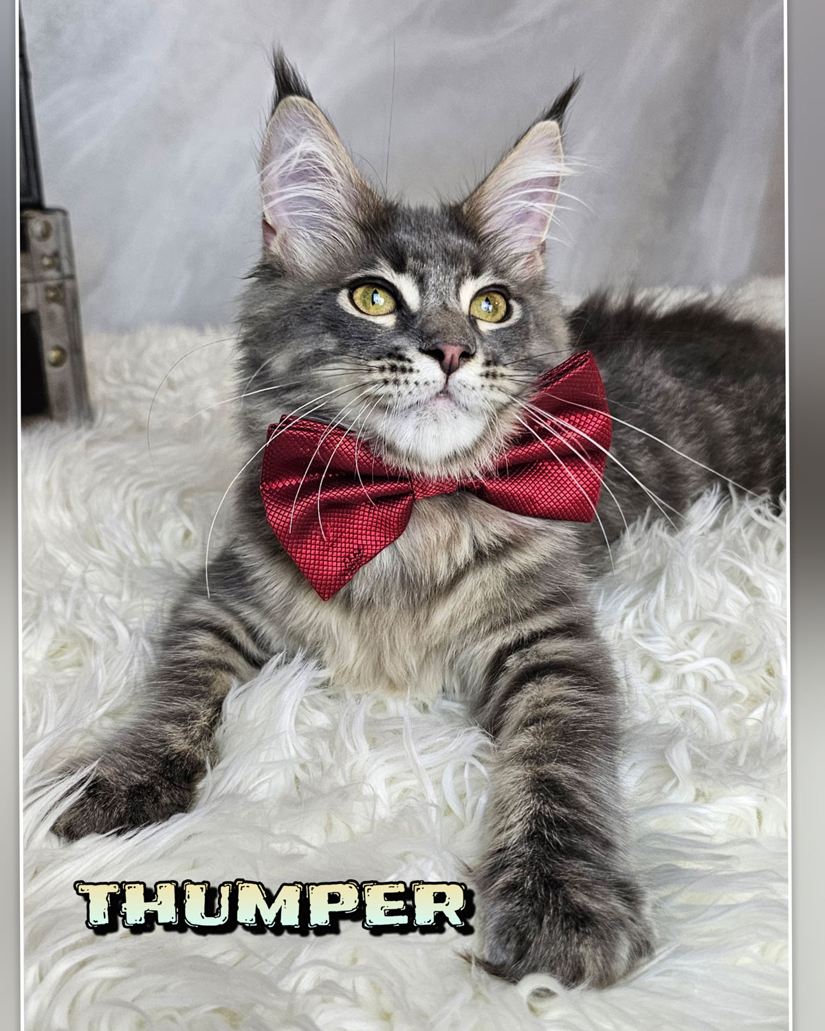 THUMPER-2