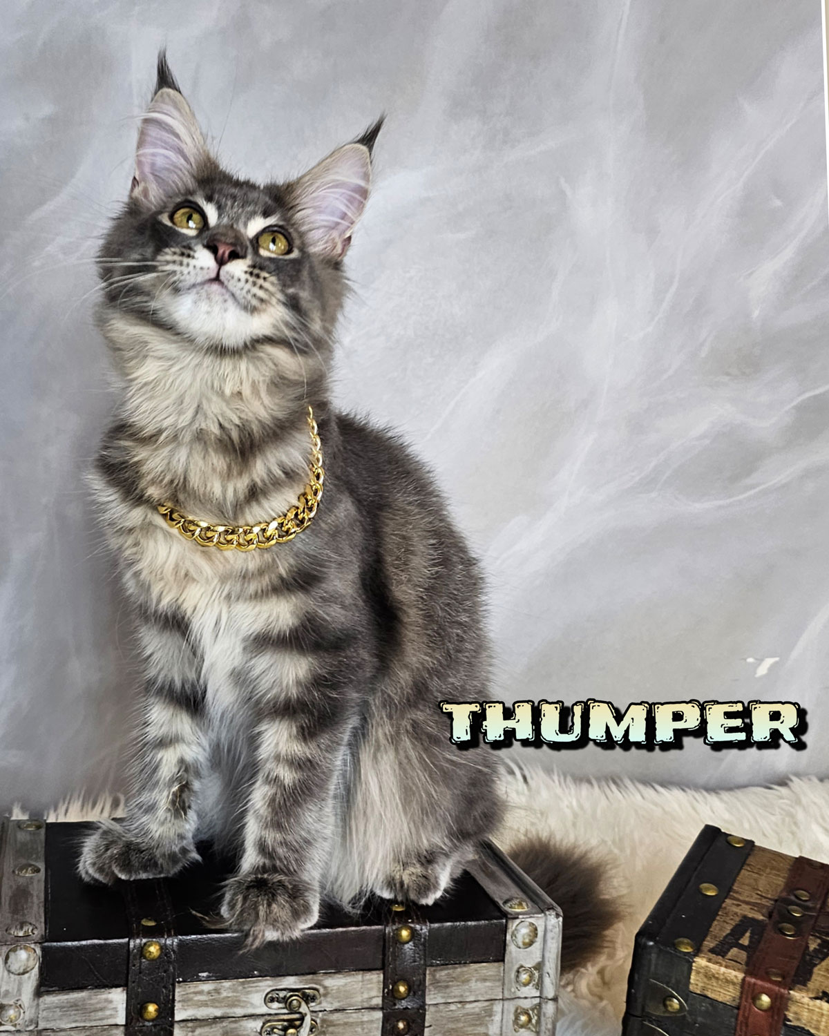 THUMPER-3