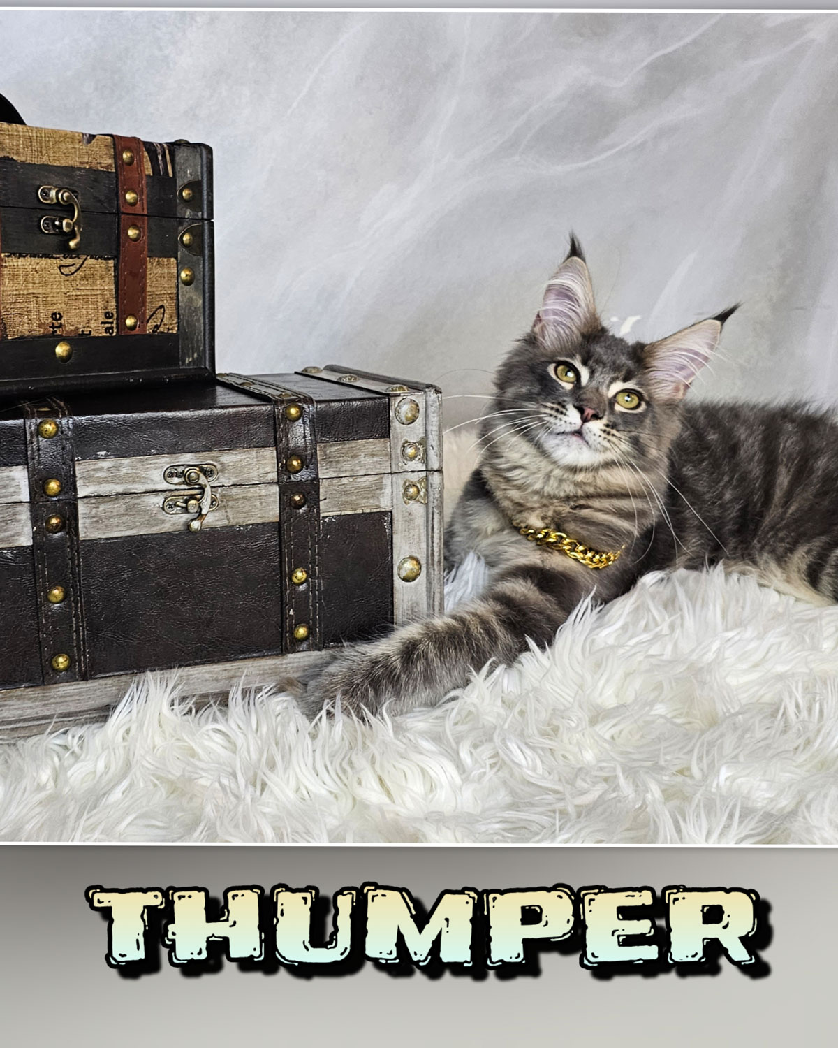 THUMPER-5