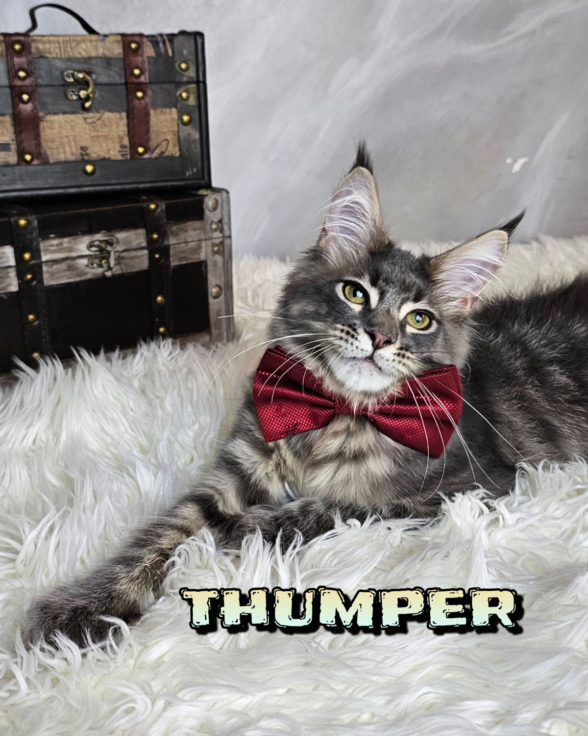THUMPER-7