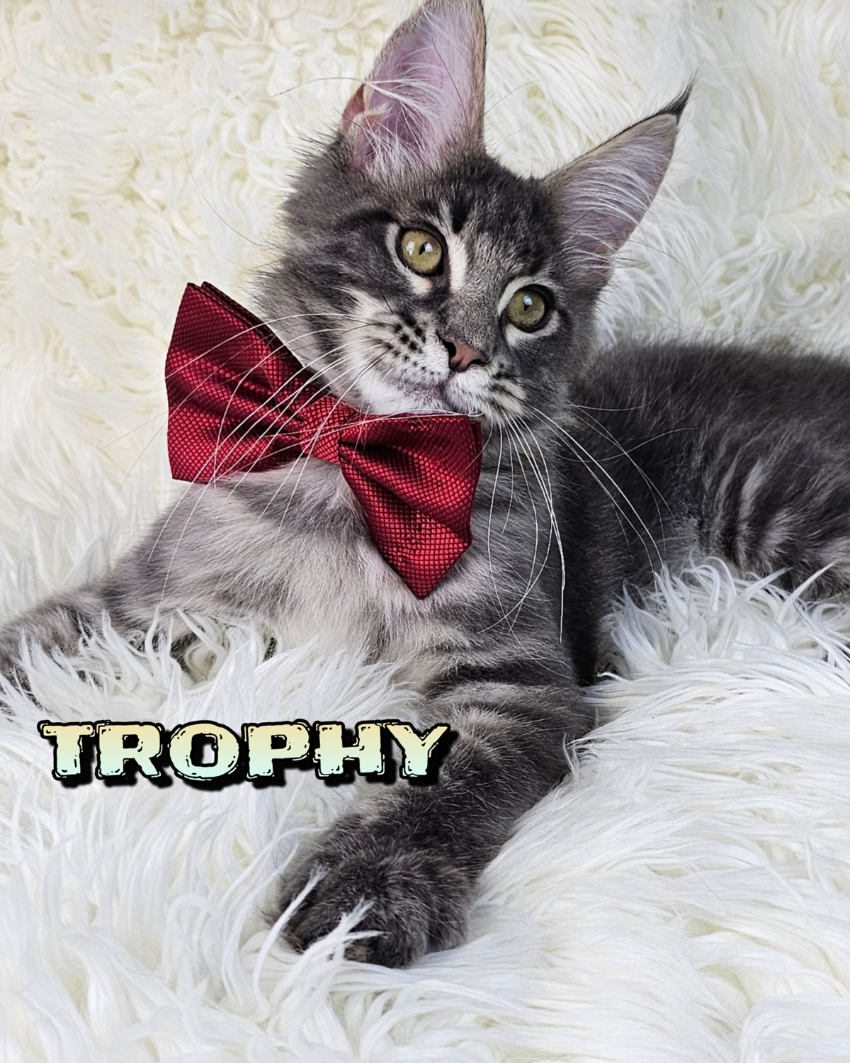 TROPHY-5