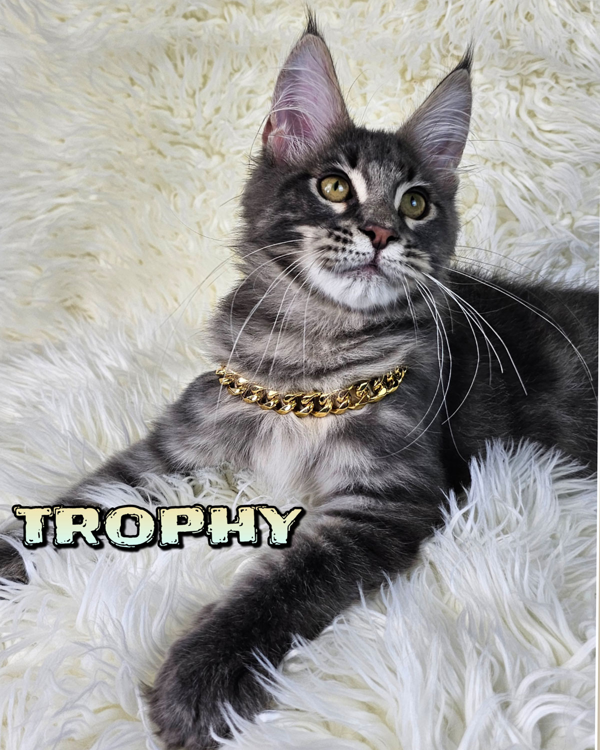TROPHY-7
