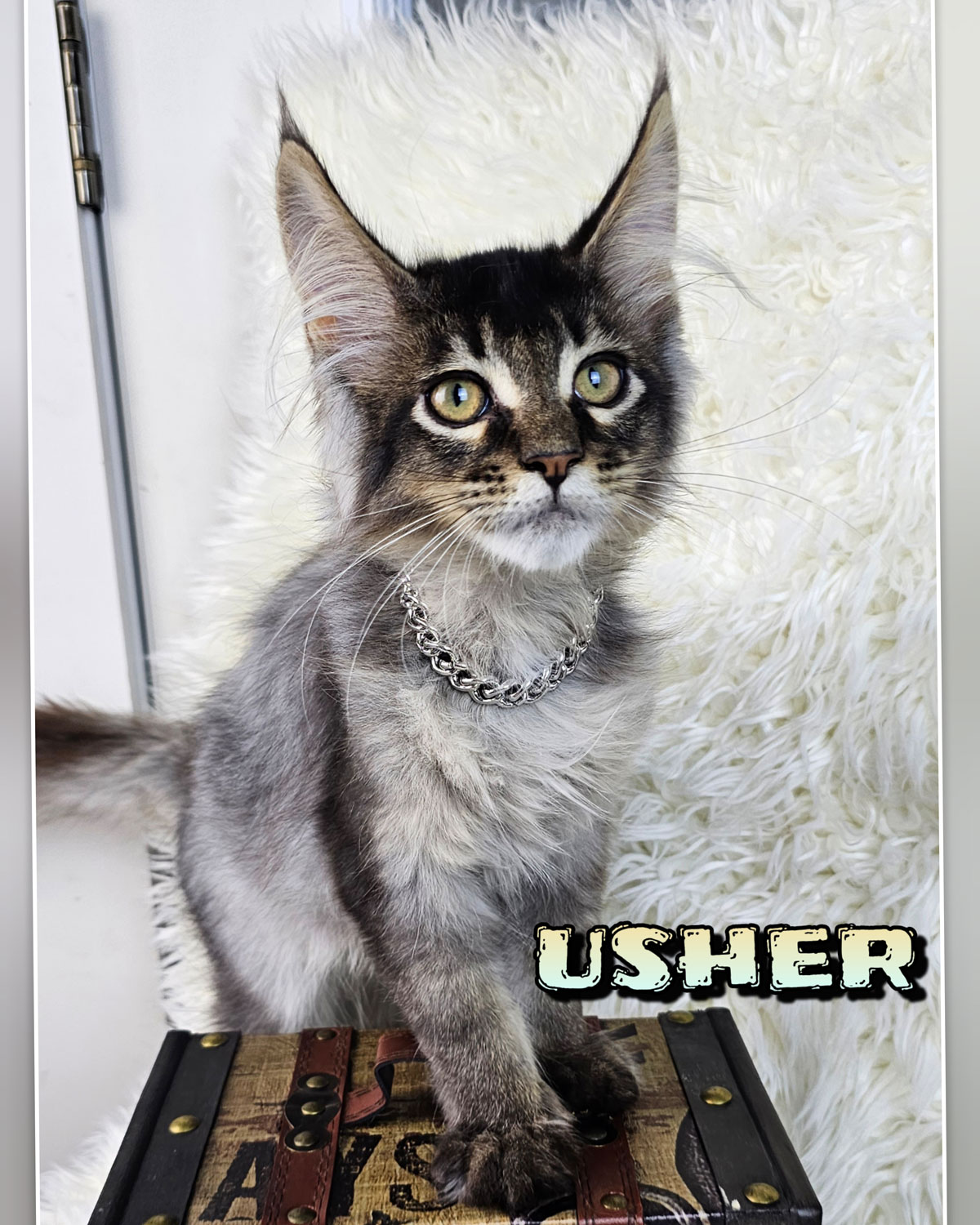 USHER-6