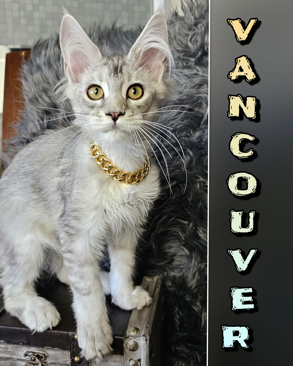 VANCOUVER-2