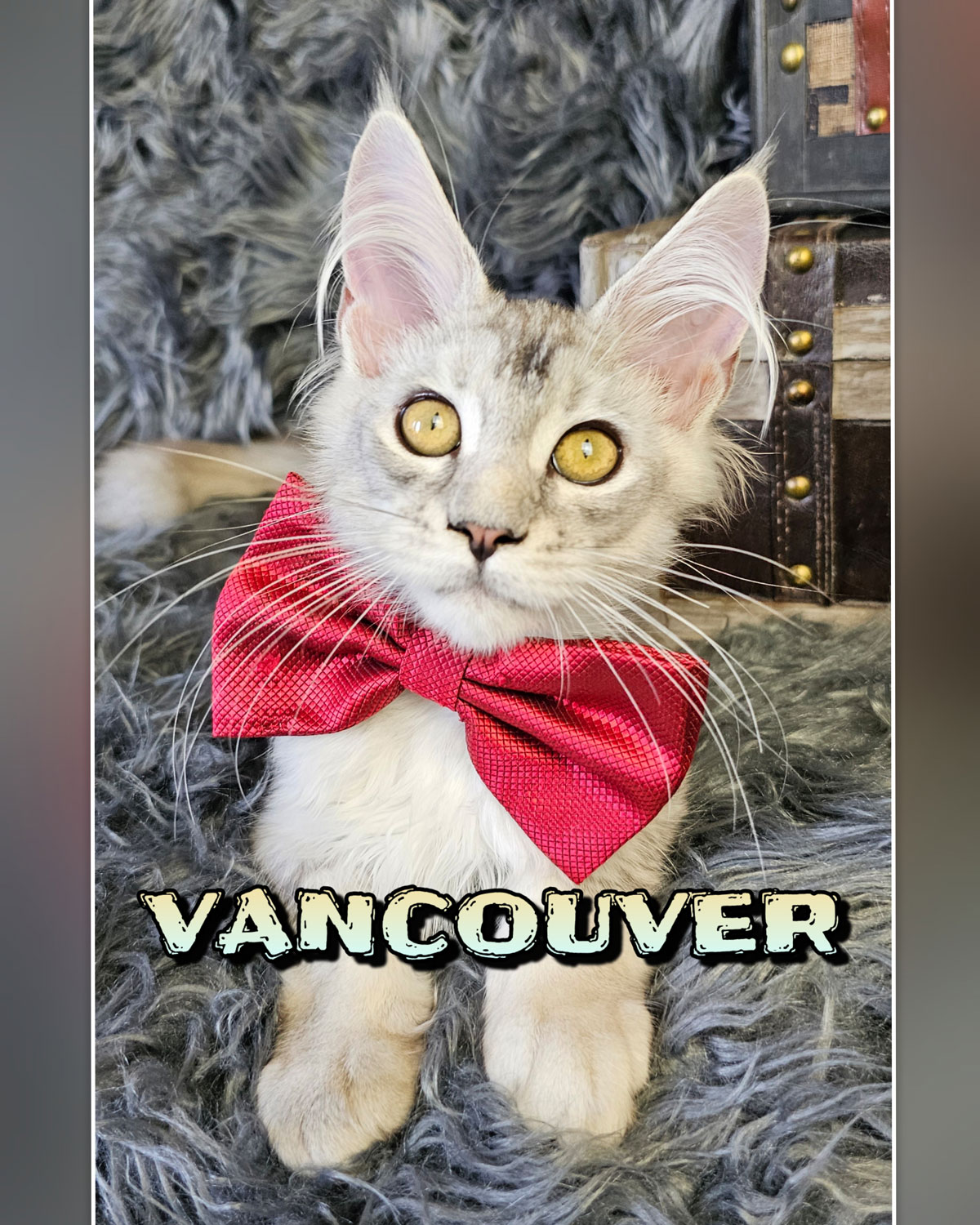 VANCOUVER-4