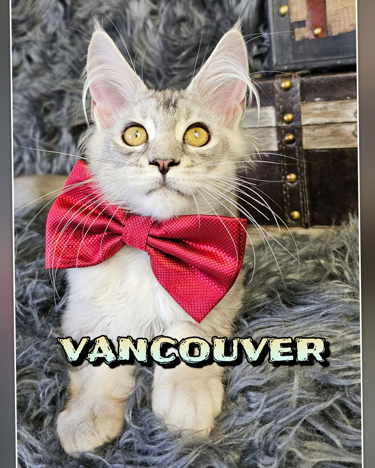 VANCOUVER-5