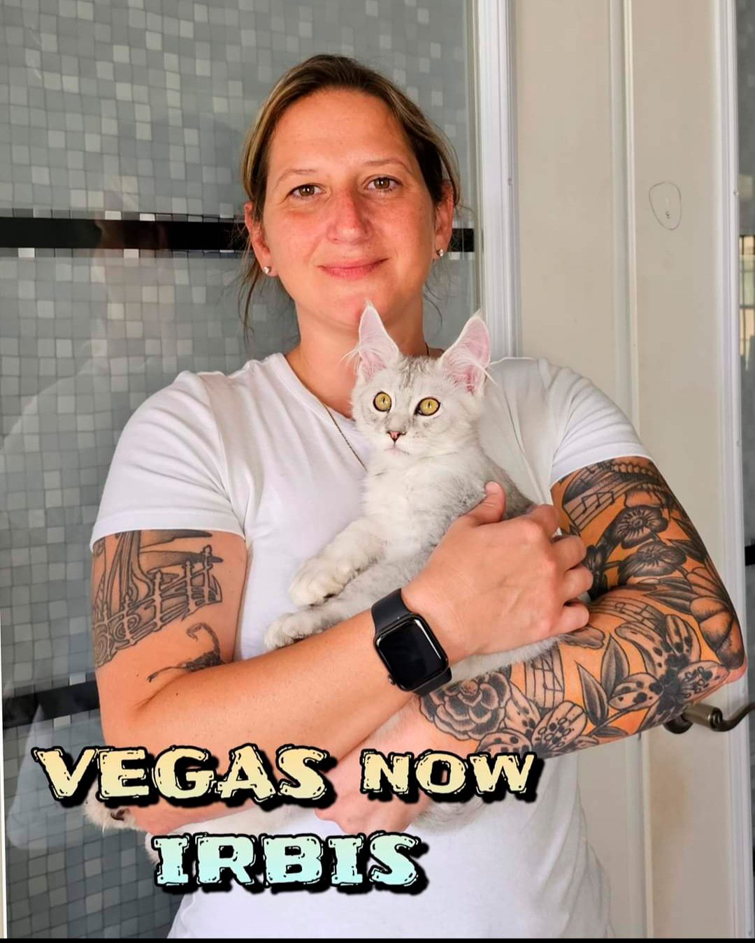 VEGAS-2