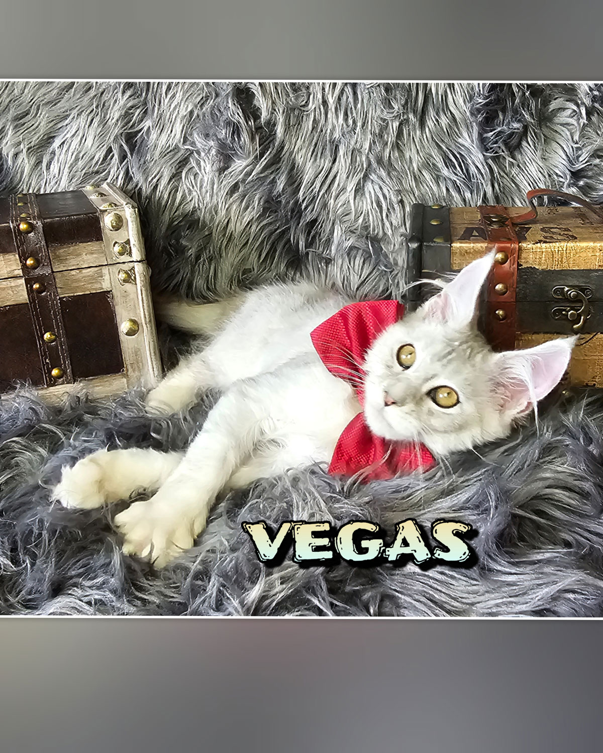 VEGAS-7