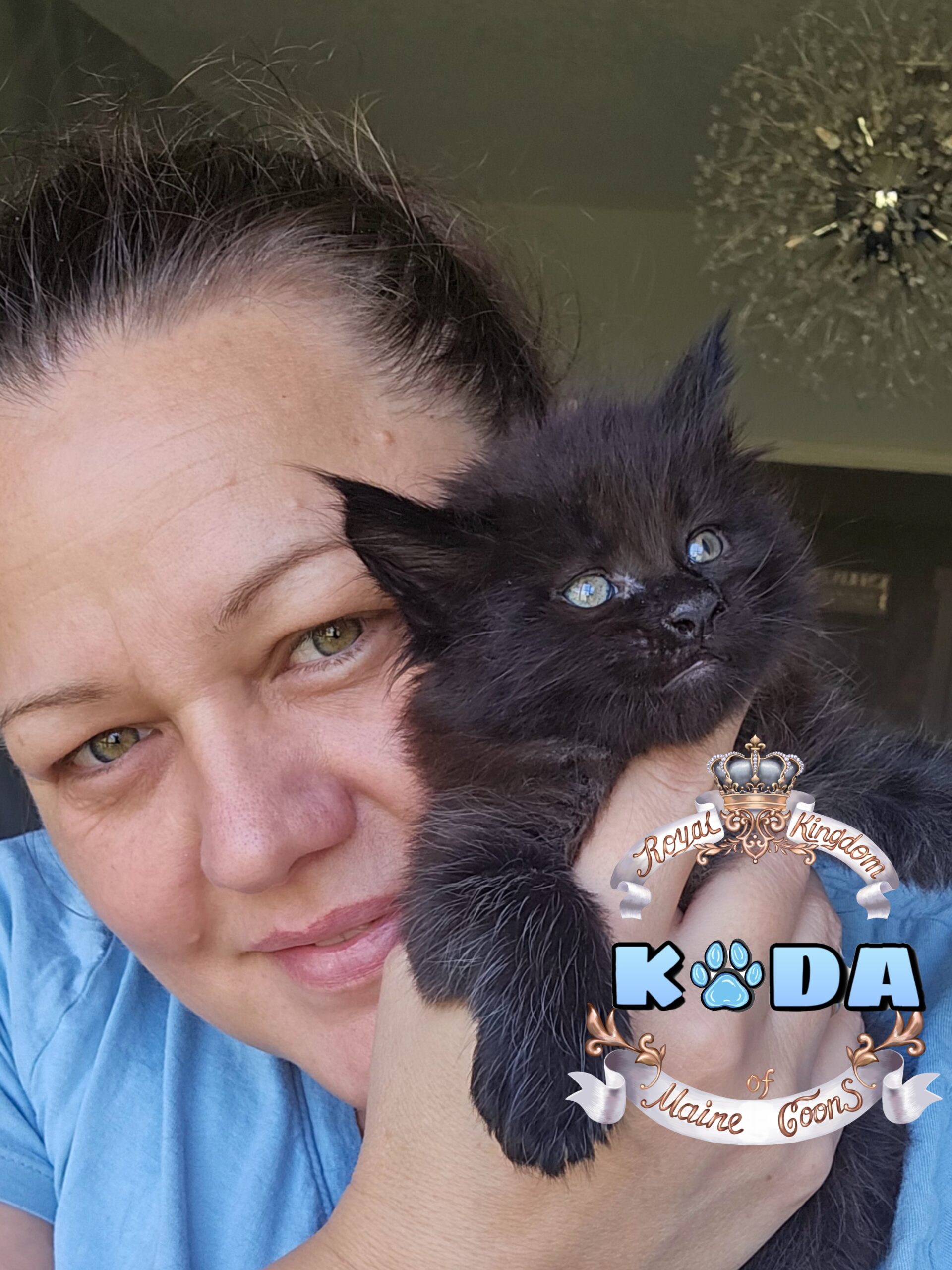 photocollage_2024821123436134