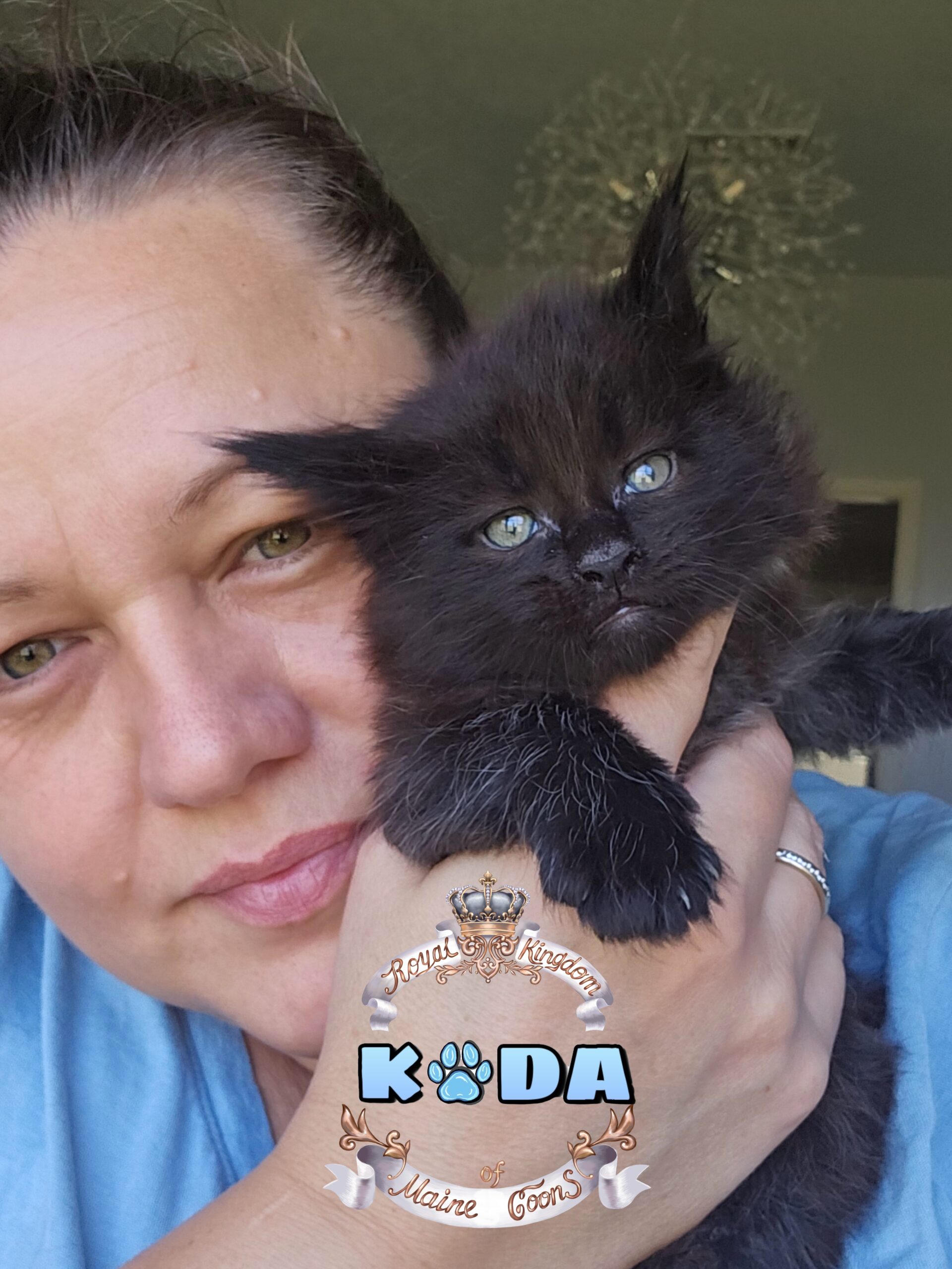 photocollage_202482112354962