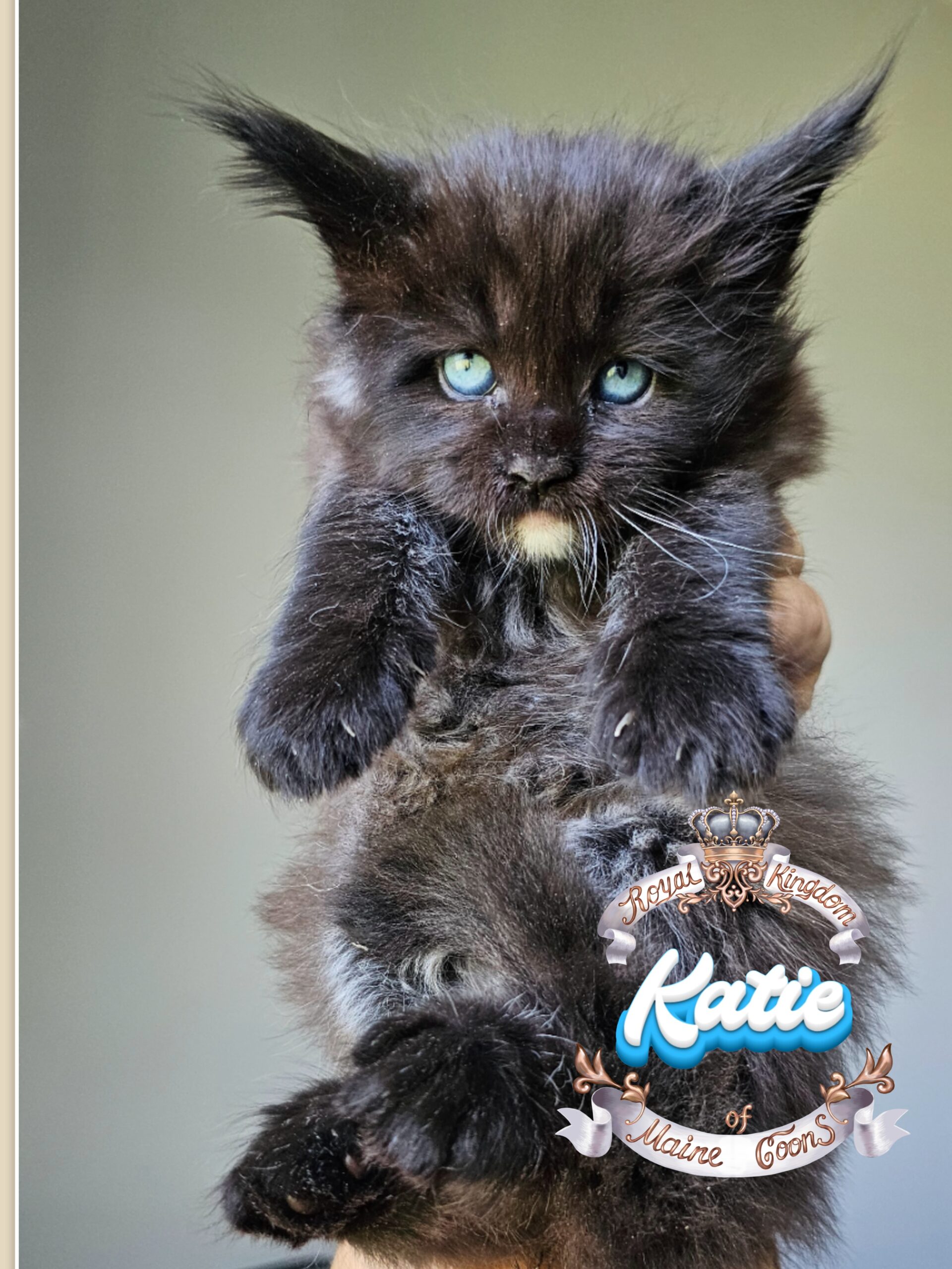 photocollage_2024821124019320