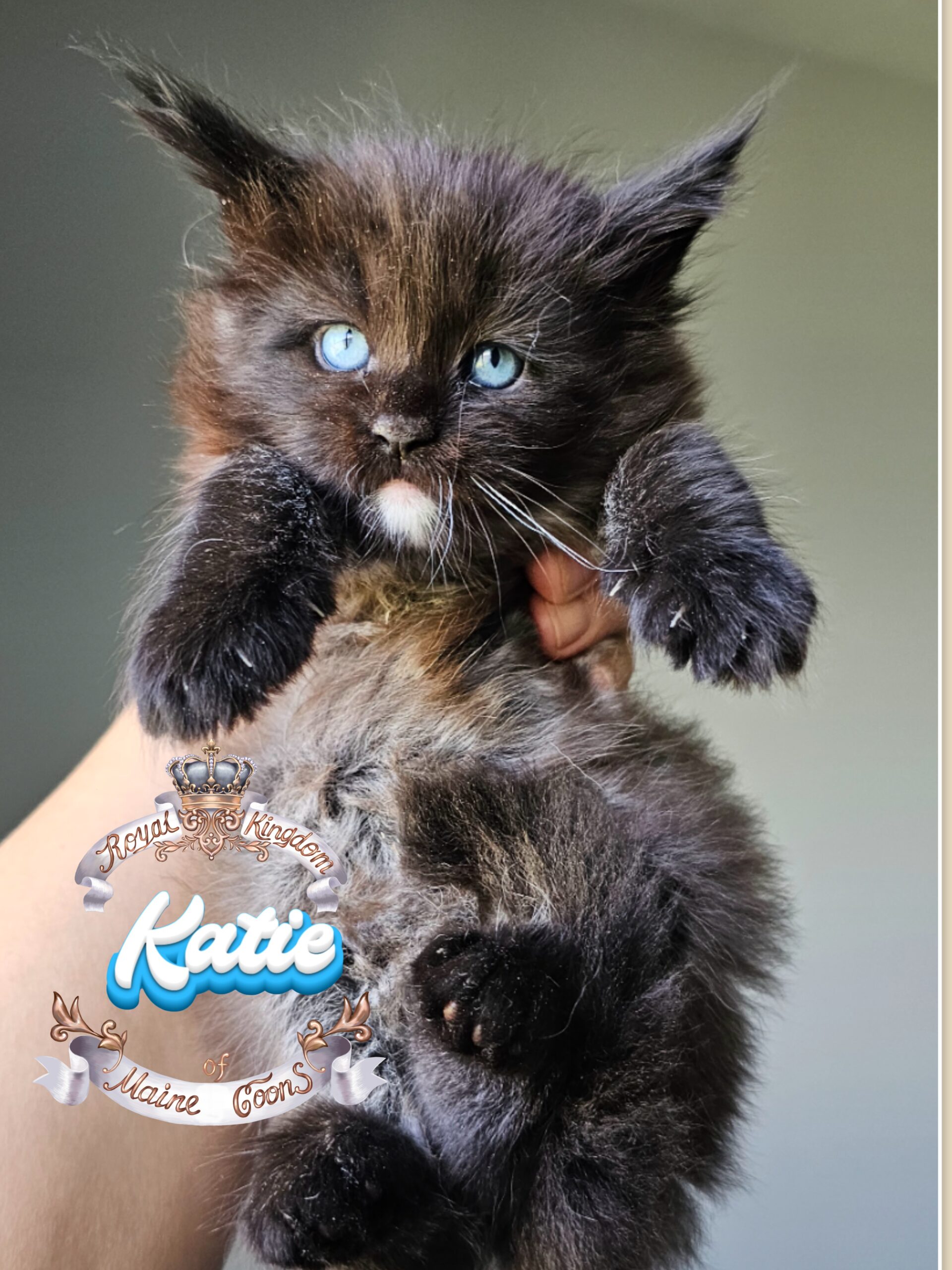 photocollage_2024821124058520