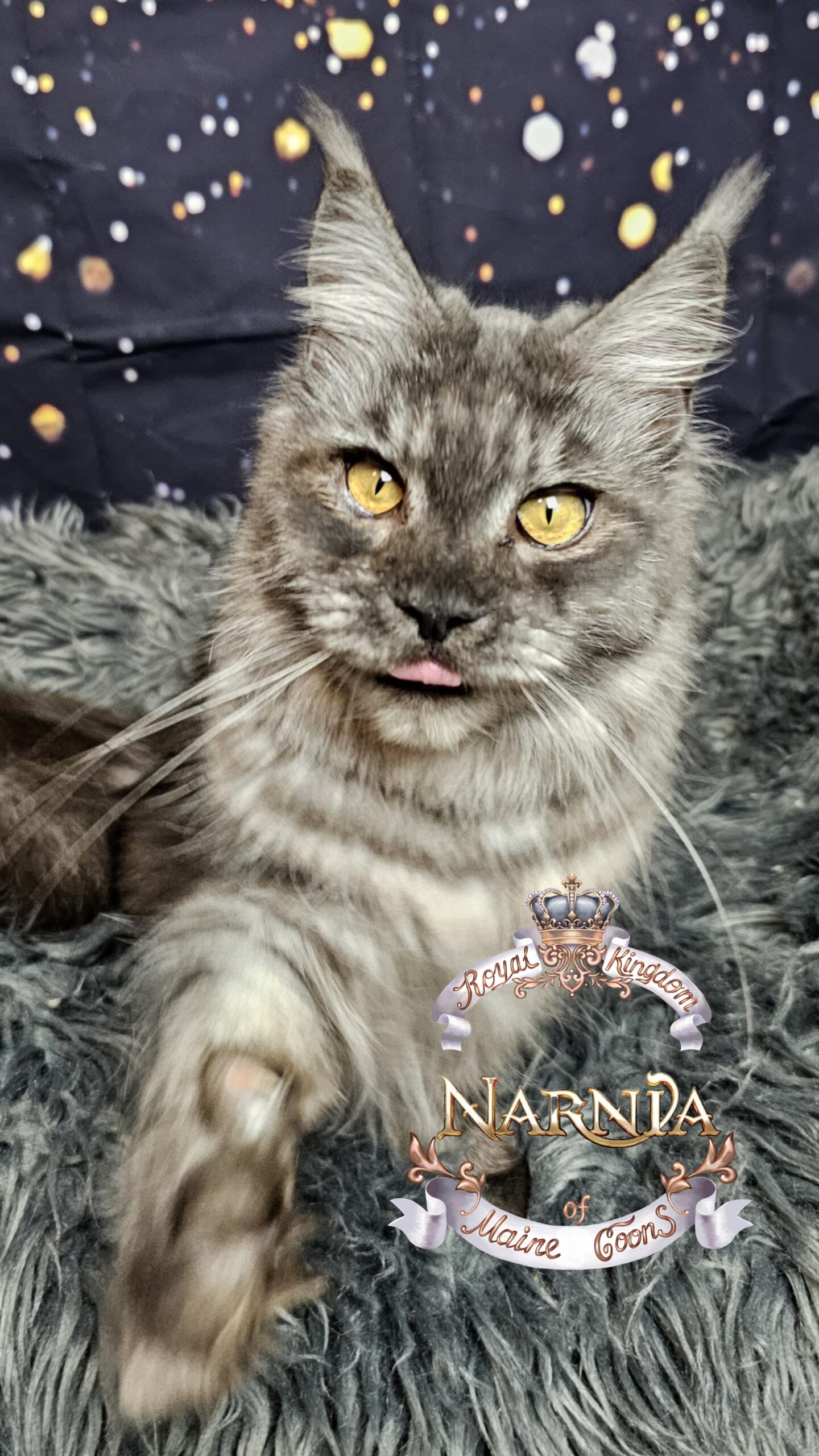 photocollage_2026120234451813