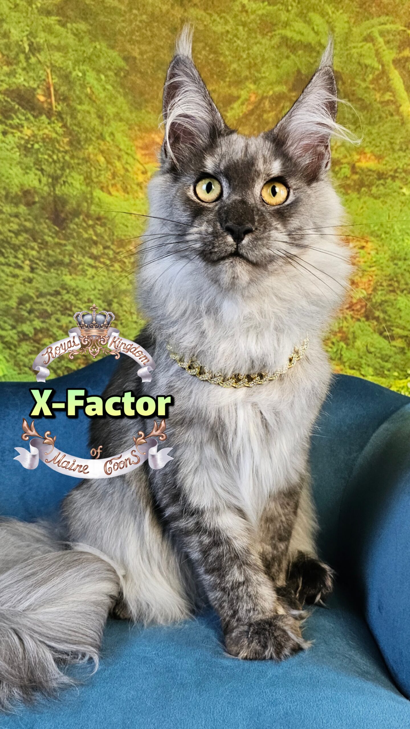 photocollage_2025102416642176