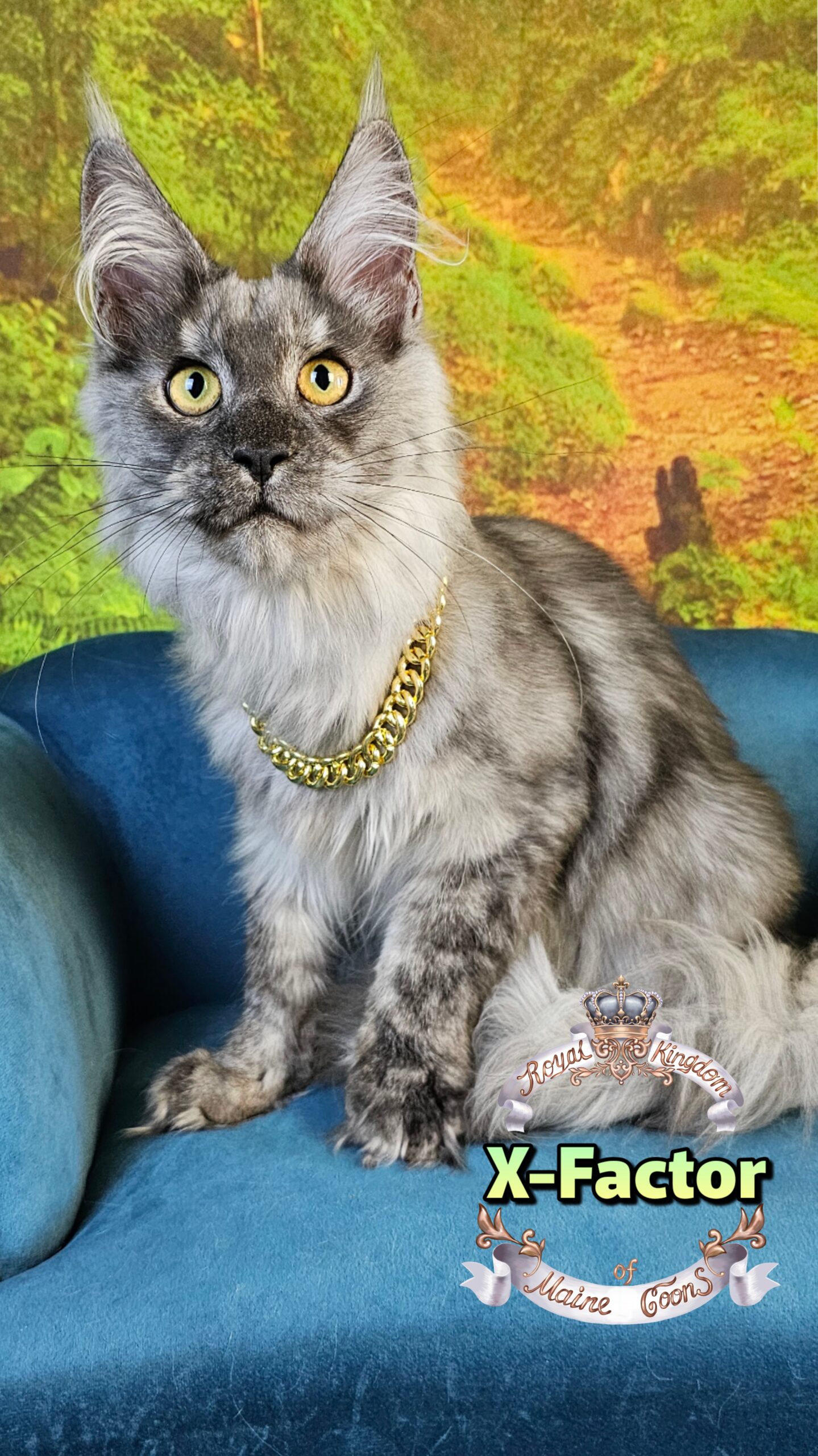 photocollage_202510241667215