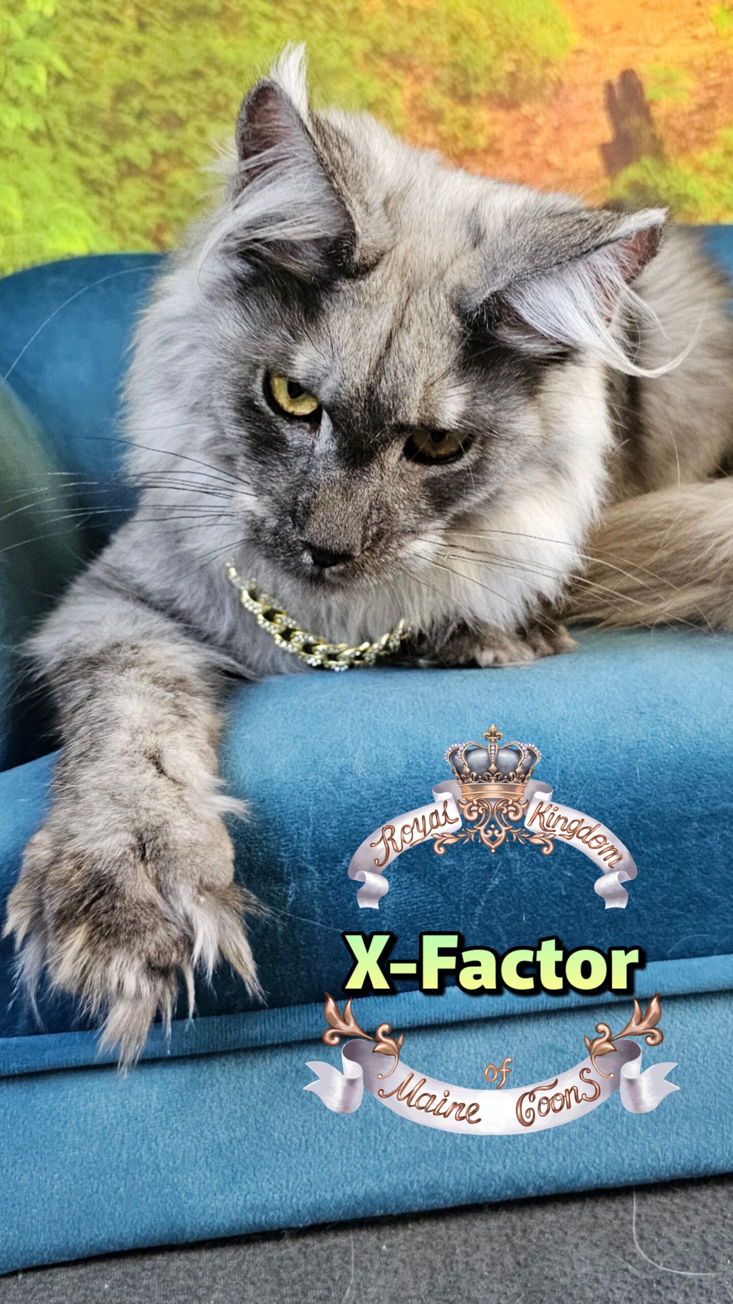 photocollage_2025102416733431