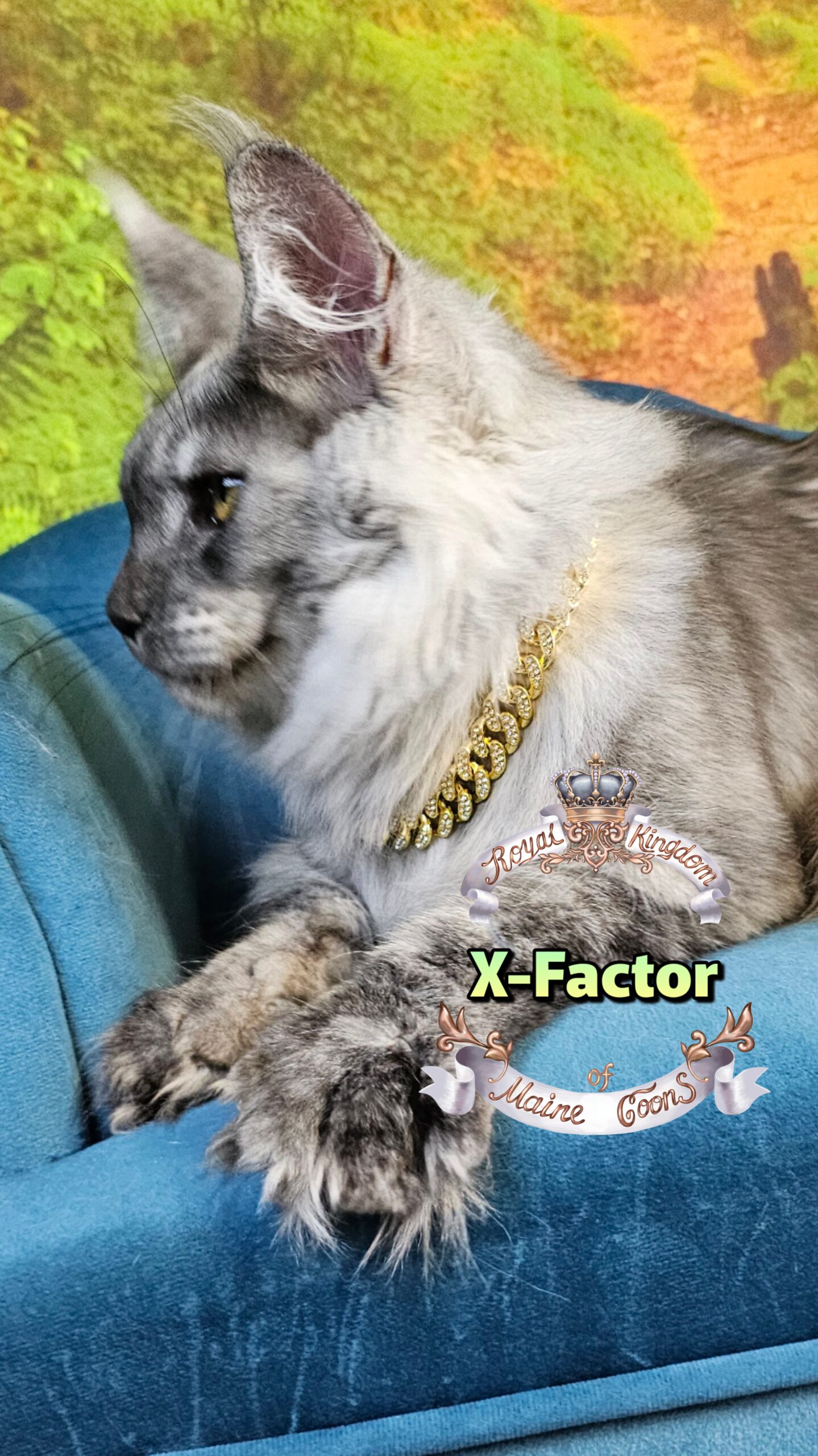 photocollage_2025102416752219