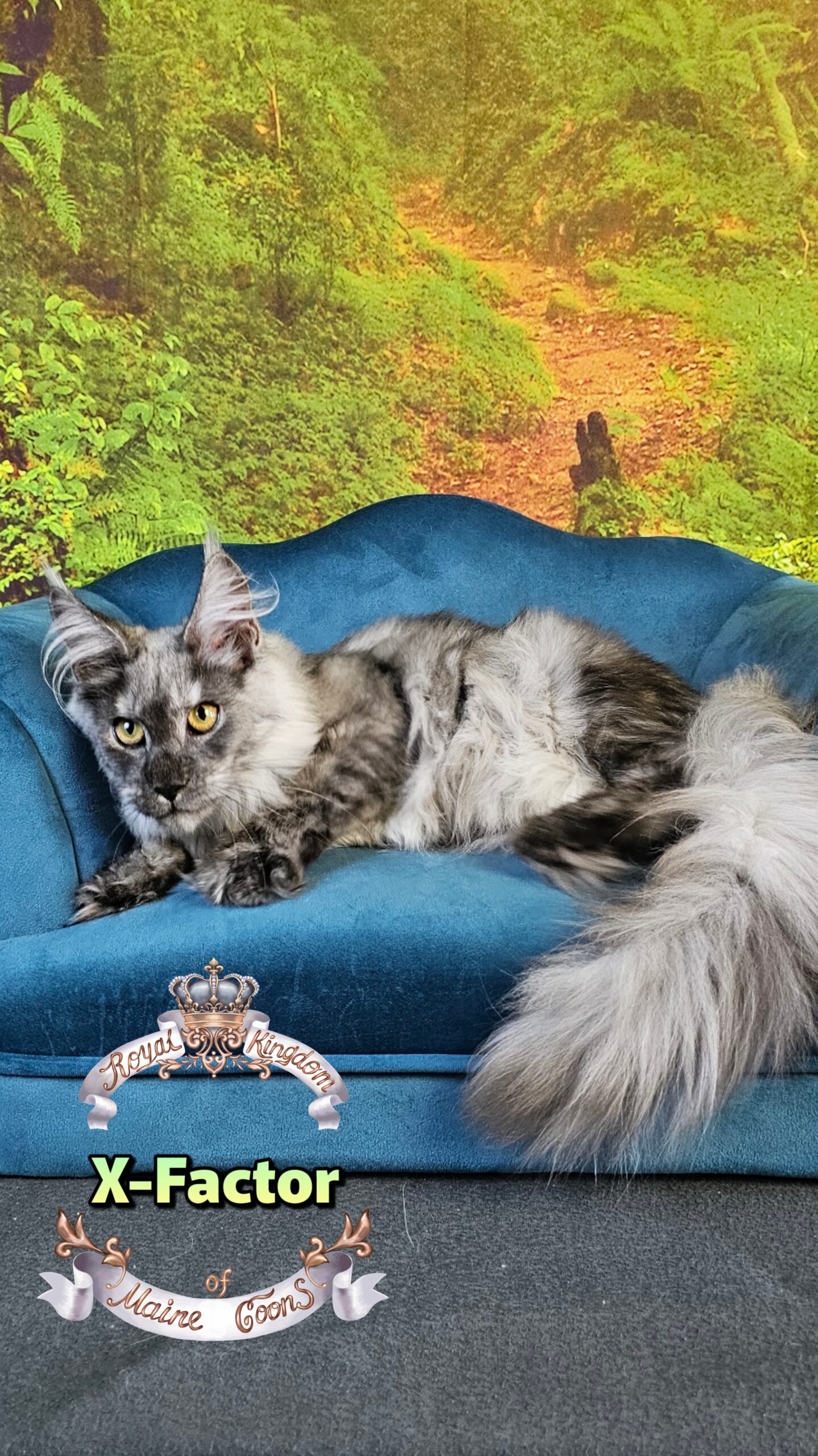 photocollage_2025102416926564