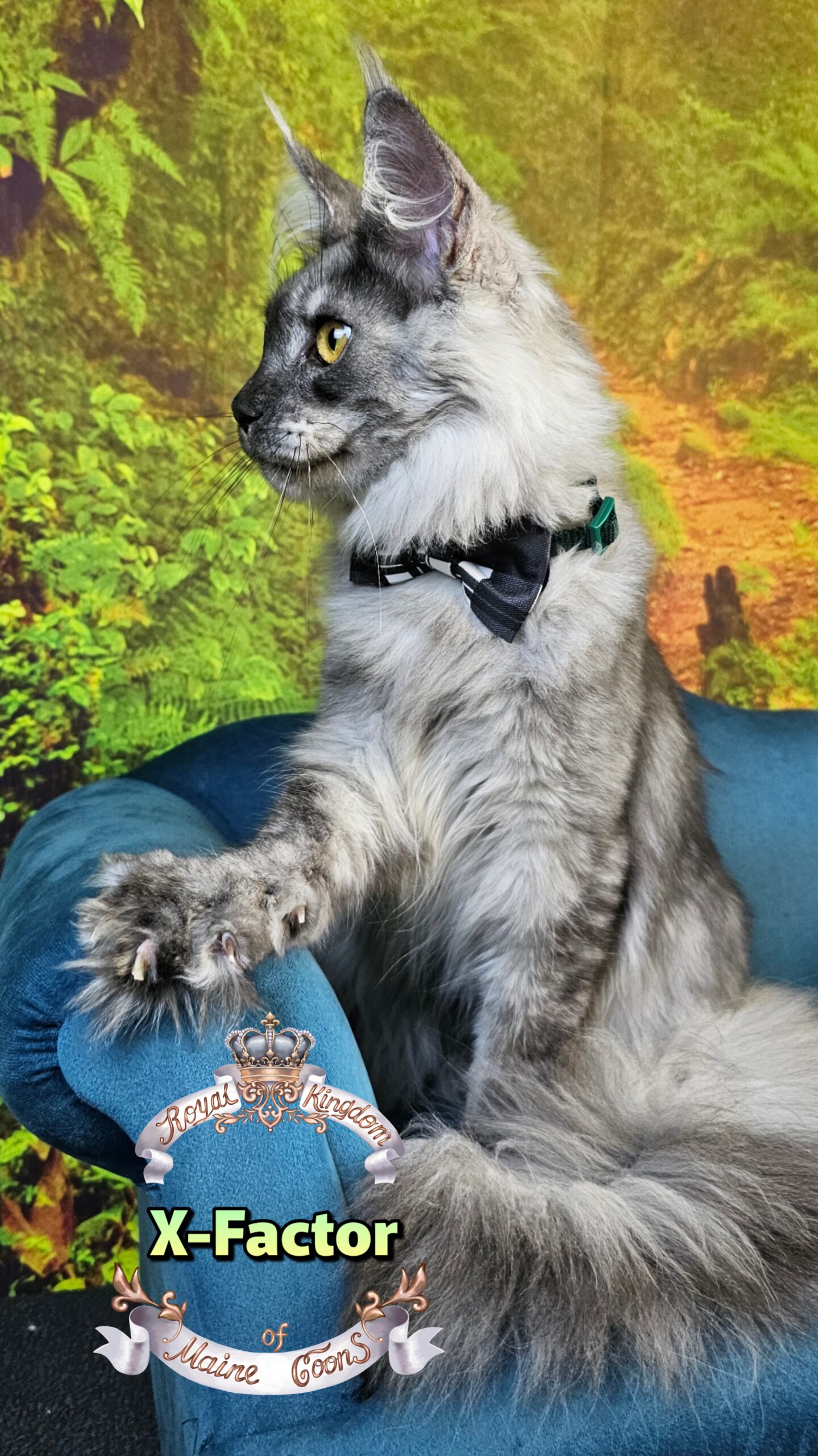 photocollage_2025102416943526