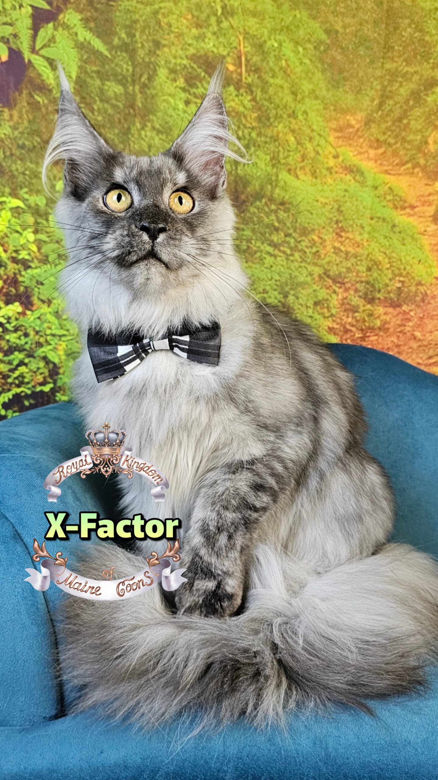 photocollage_2025102416959534