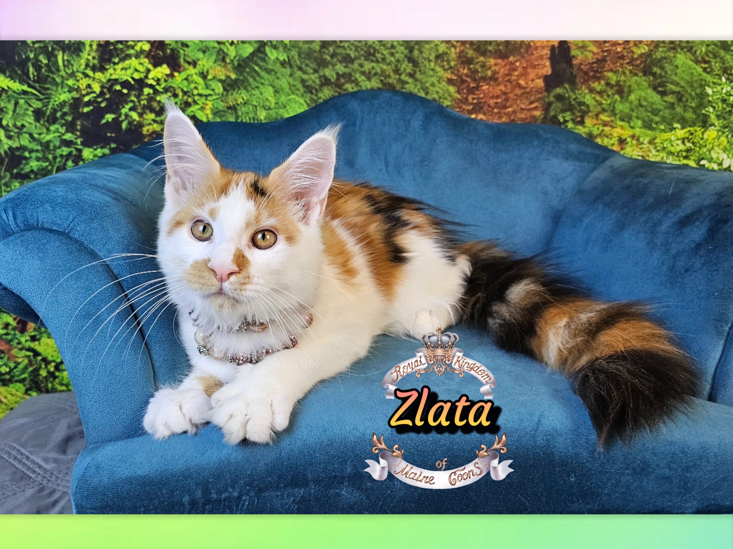 photocollage_2025106114632146