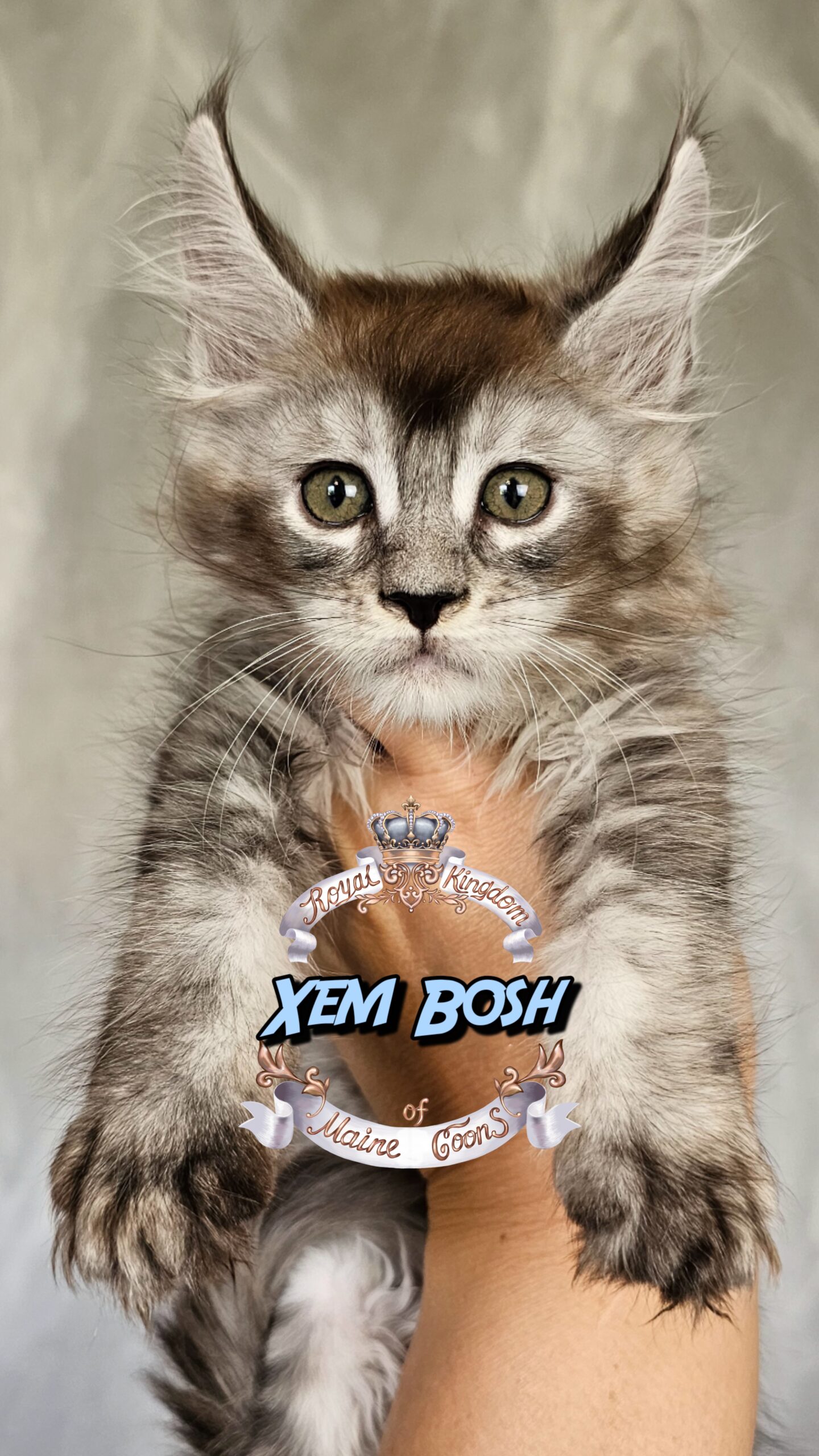 photocollage_202562151558775