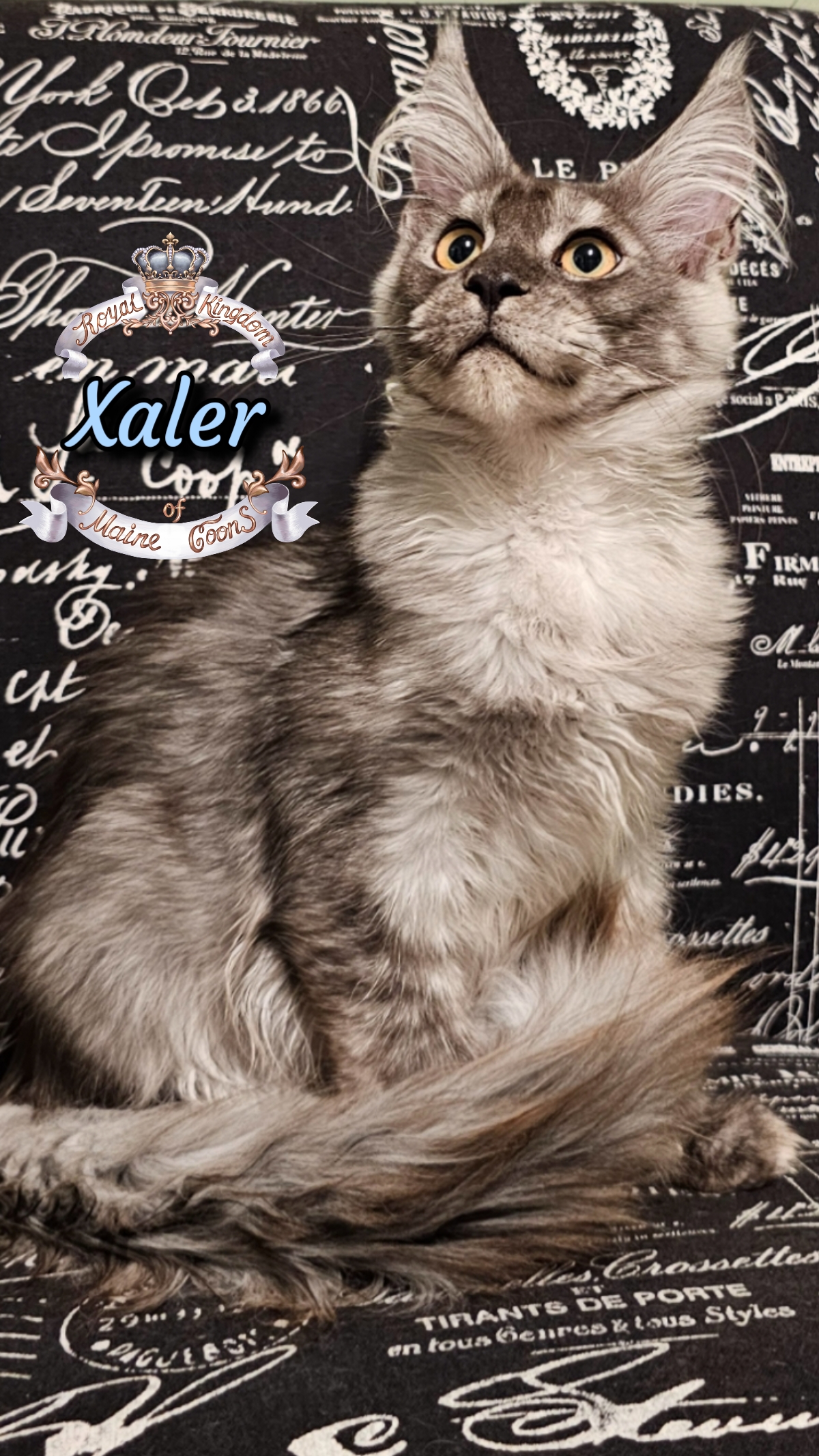 photocollage_20259751955949