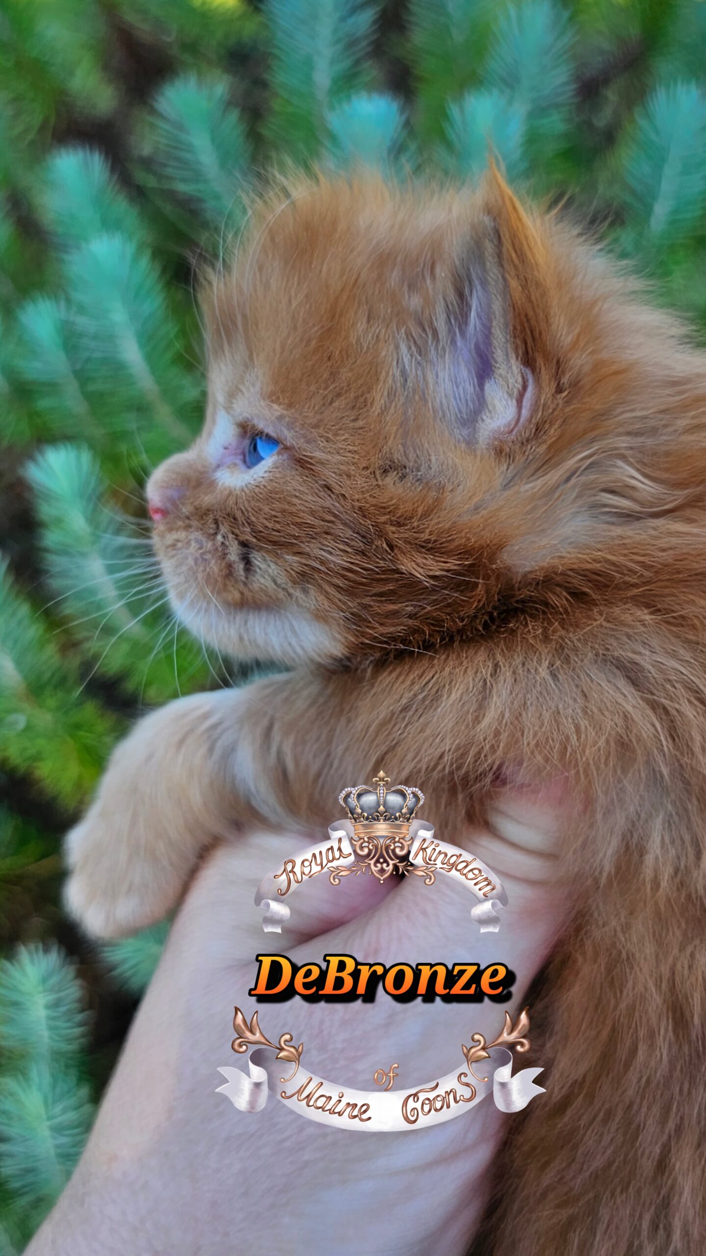 photocollage_20251013174915690