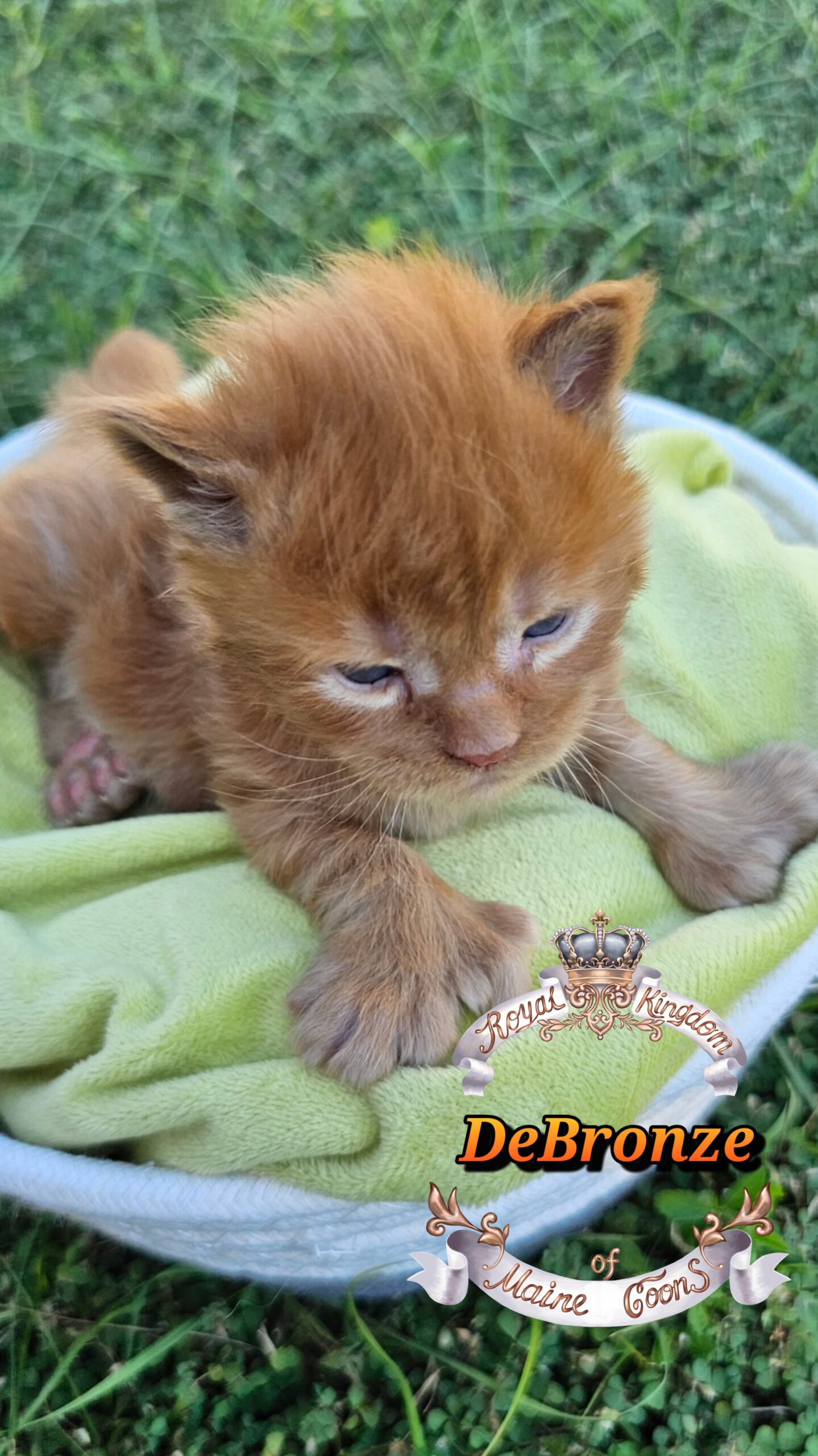 photocollage_20251013175144715