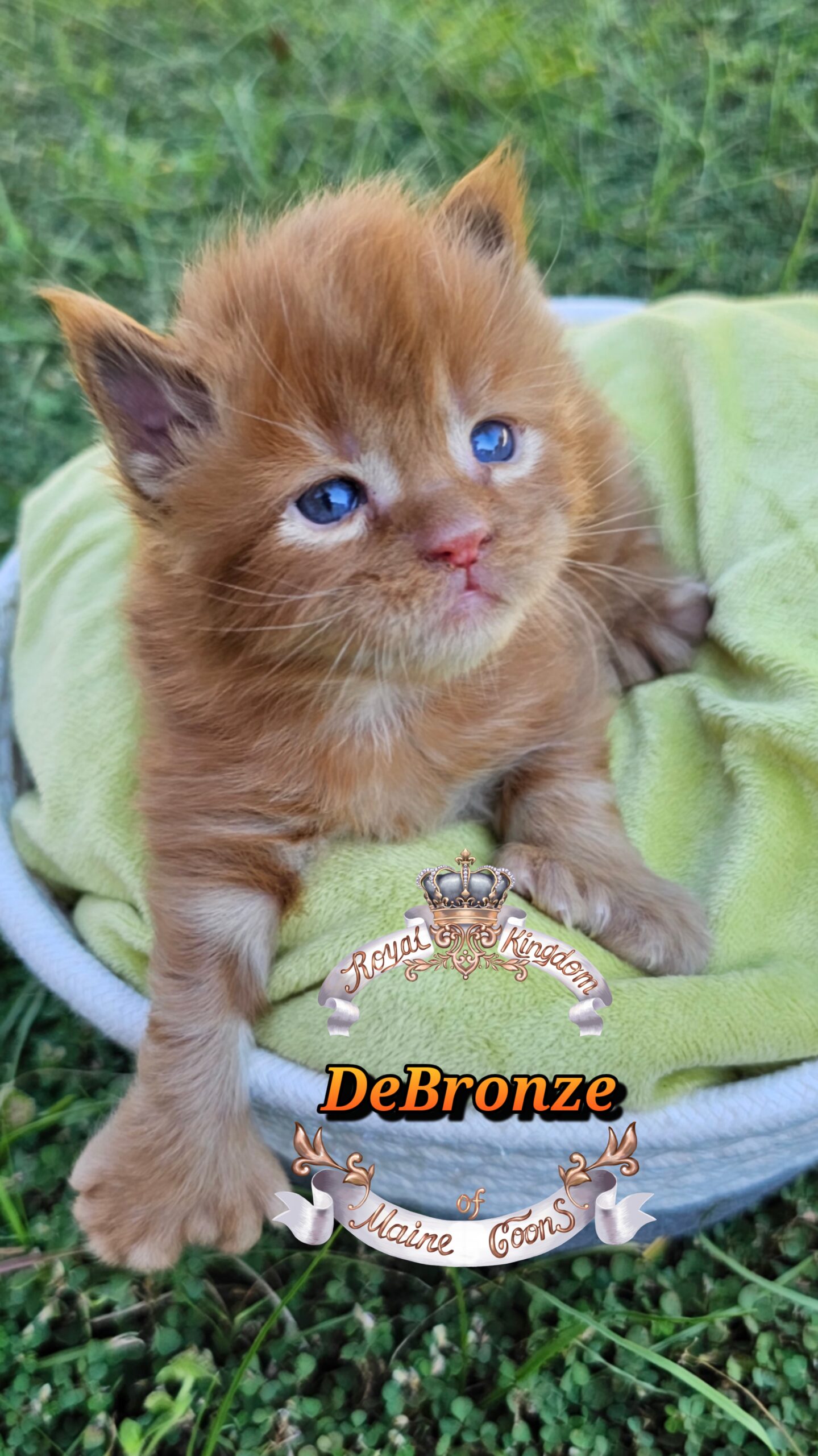 photocollage_20251013175412116