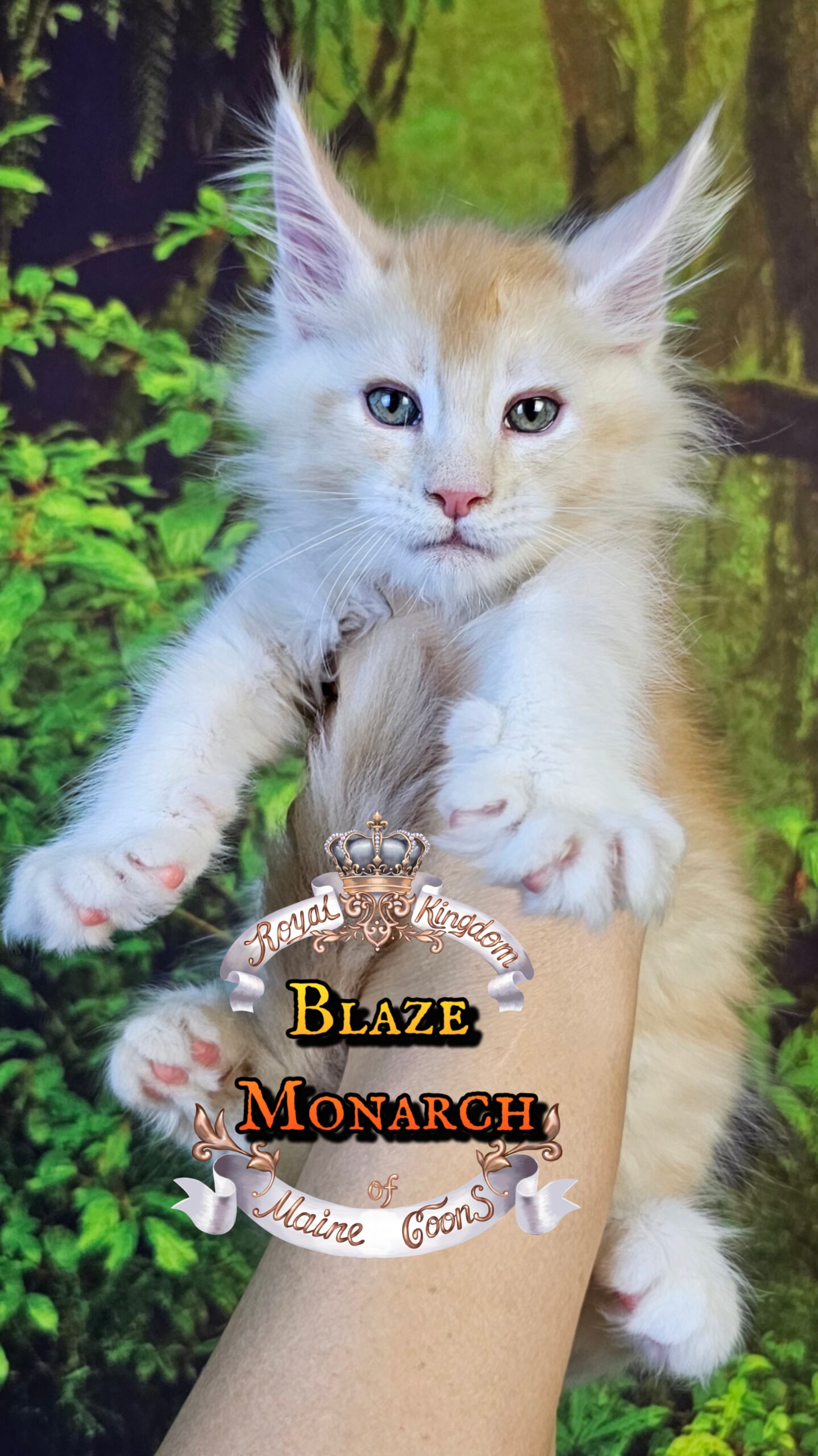 photocollage_20251013235720827