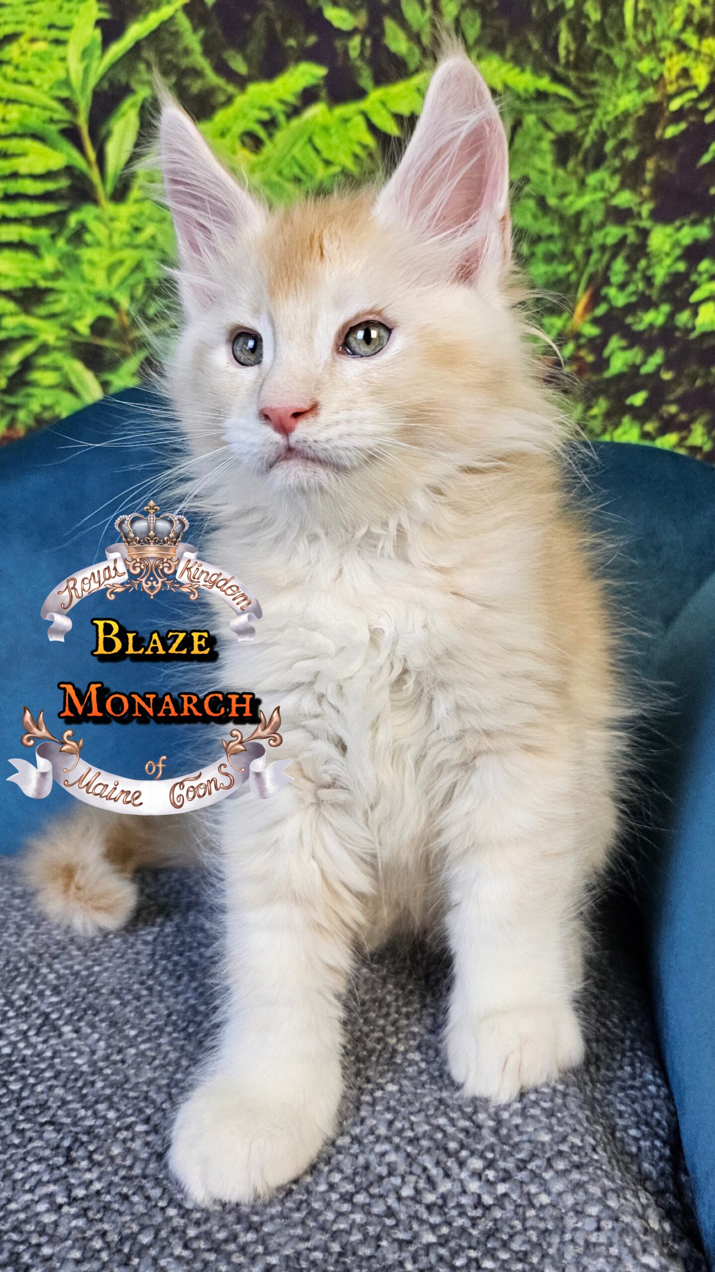 photocollage_2025101401114868