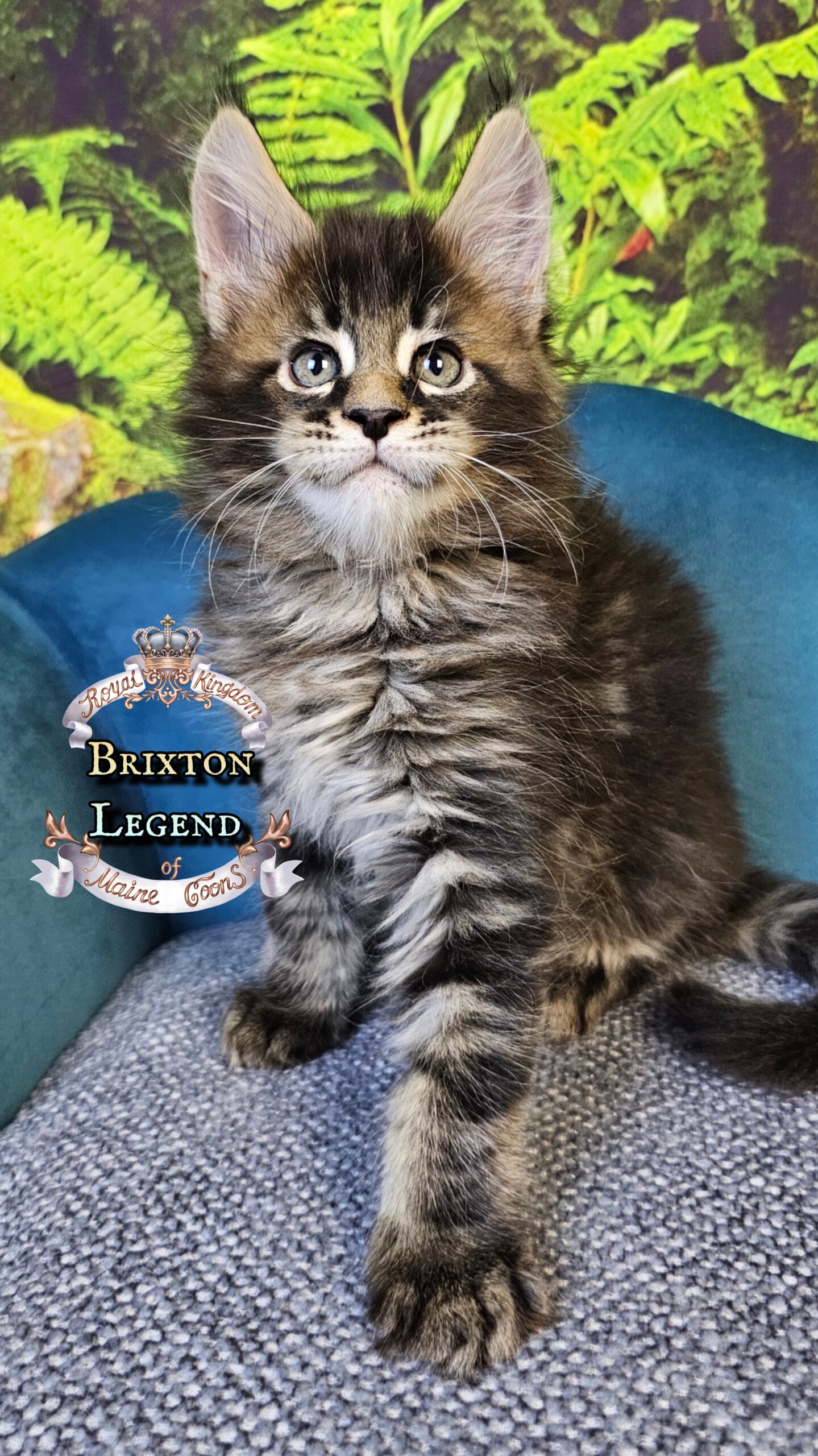 photocollage_2025101402233395