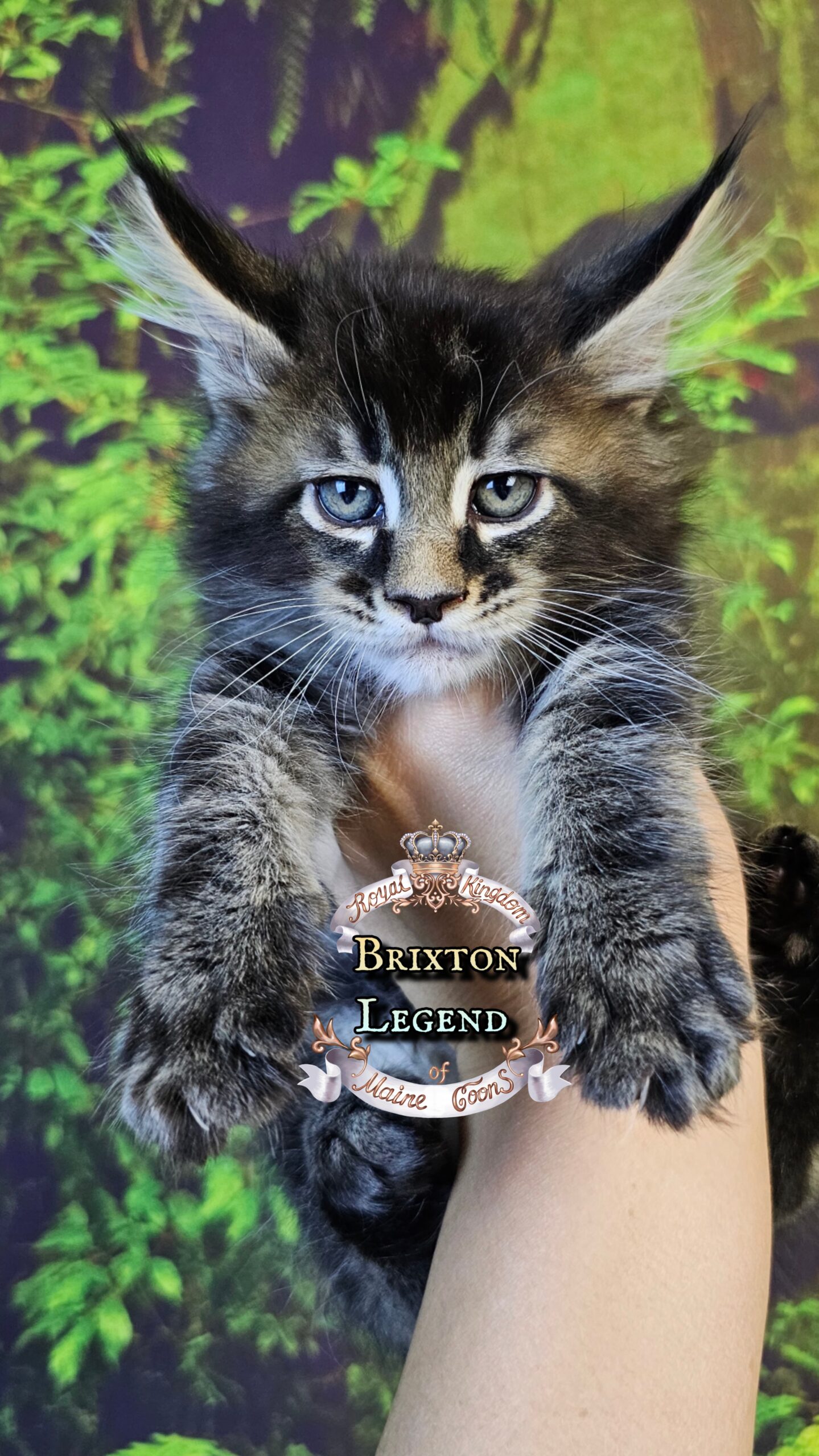 photocollage_2025101402337138