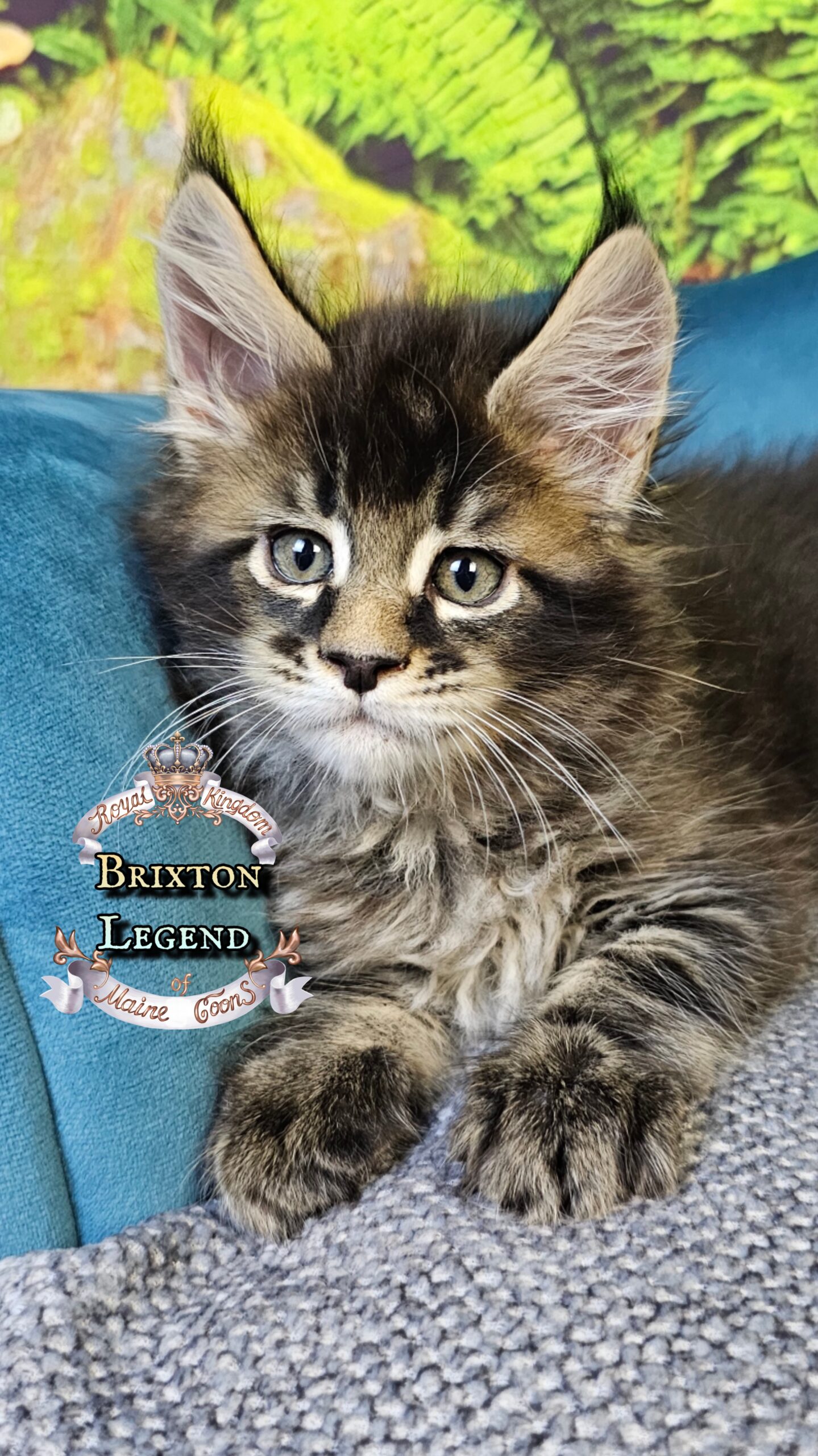 photocollage_2025101402358220