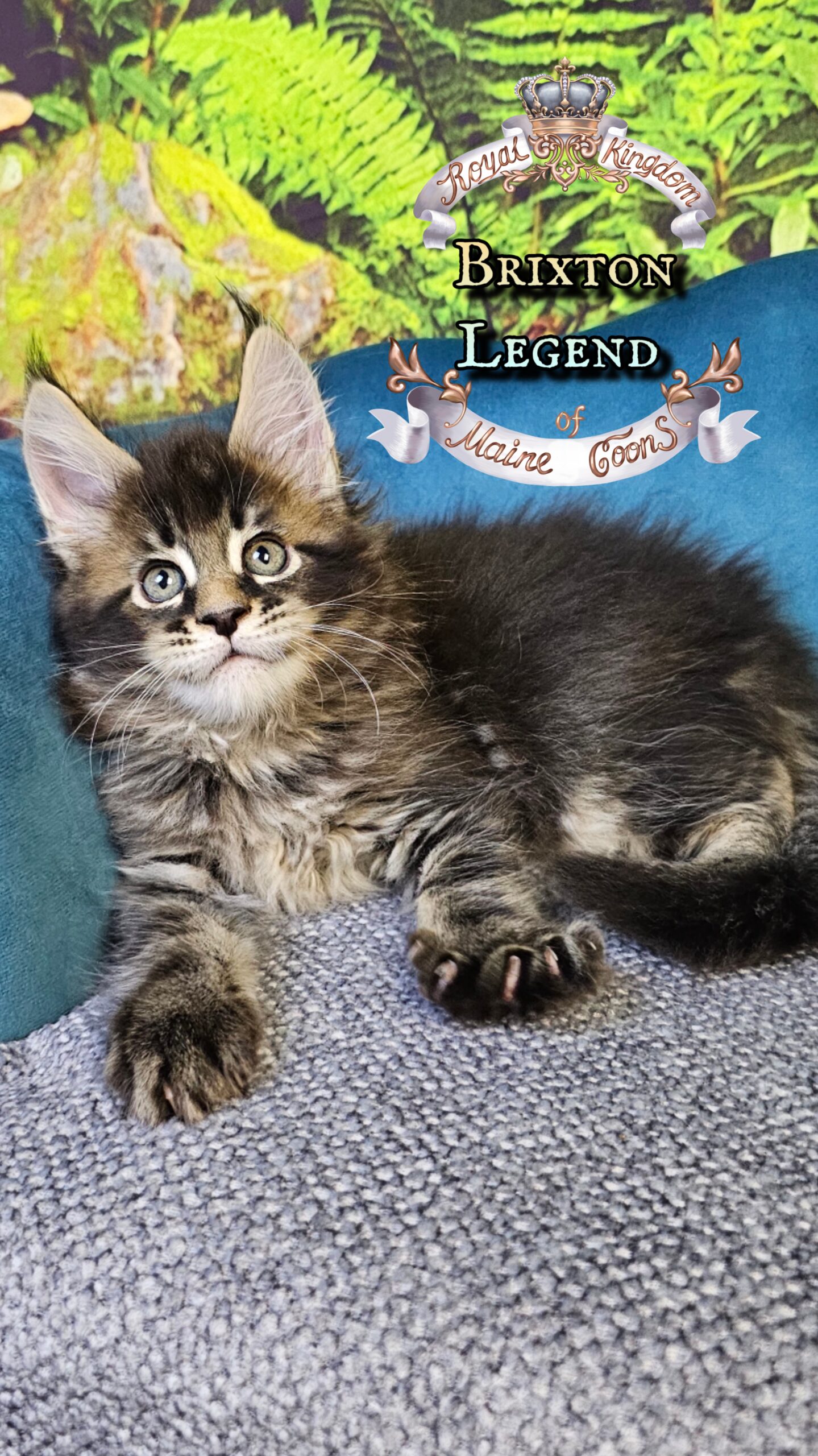 photocollage_2025101402422995