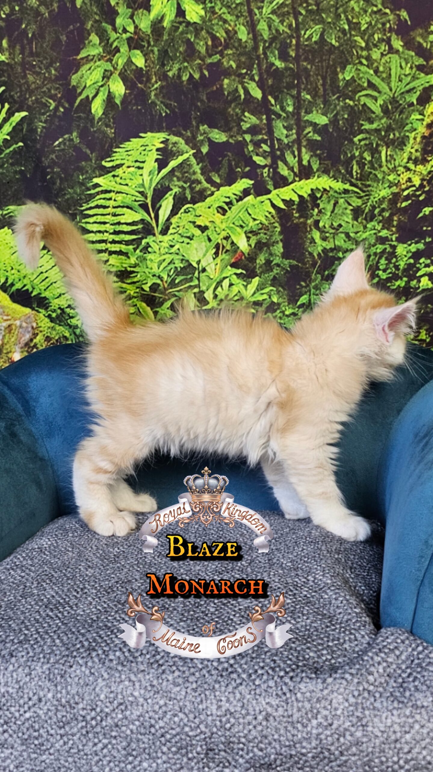 photocollage_20251014024688