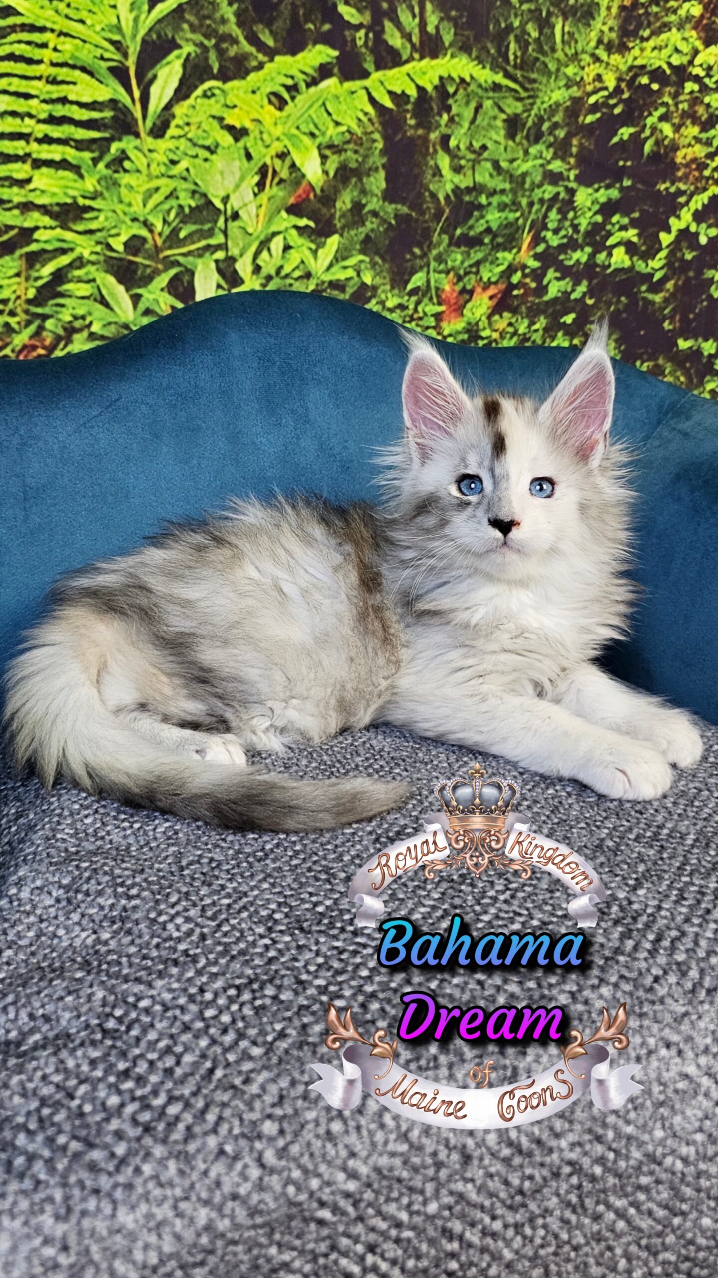 photocollage_2025101405736330