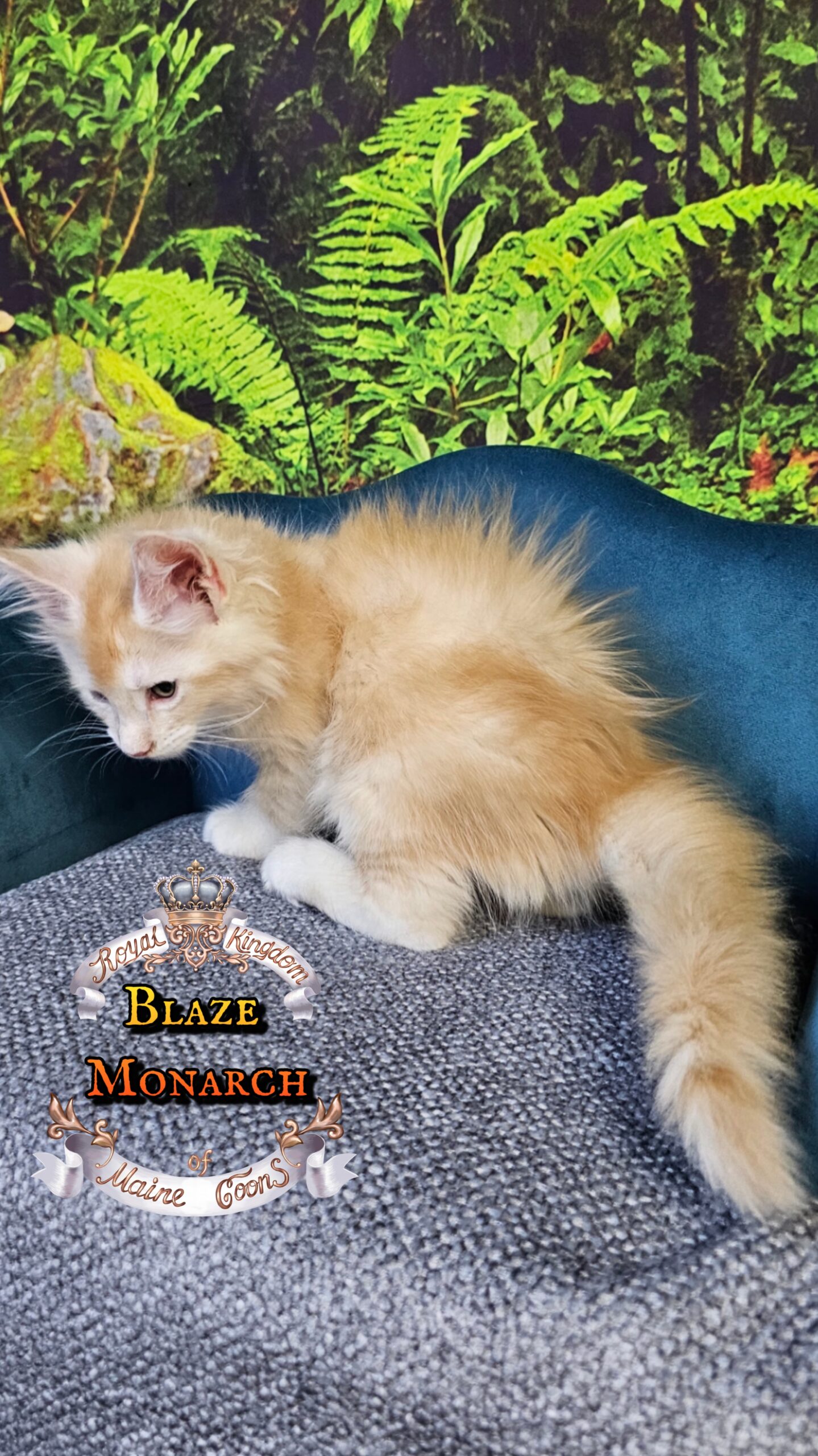 photocollage_202510140648992