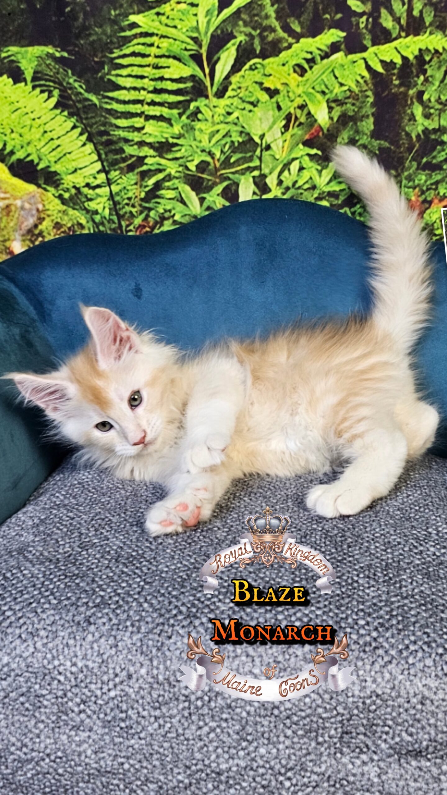 photocollage_20251014081444