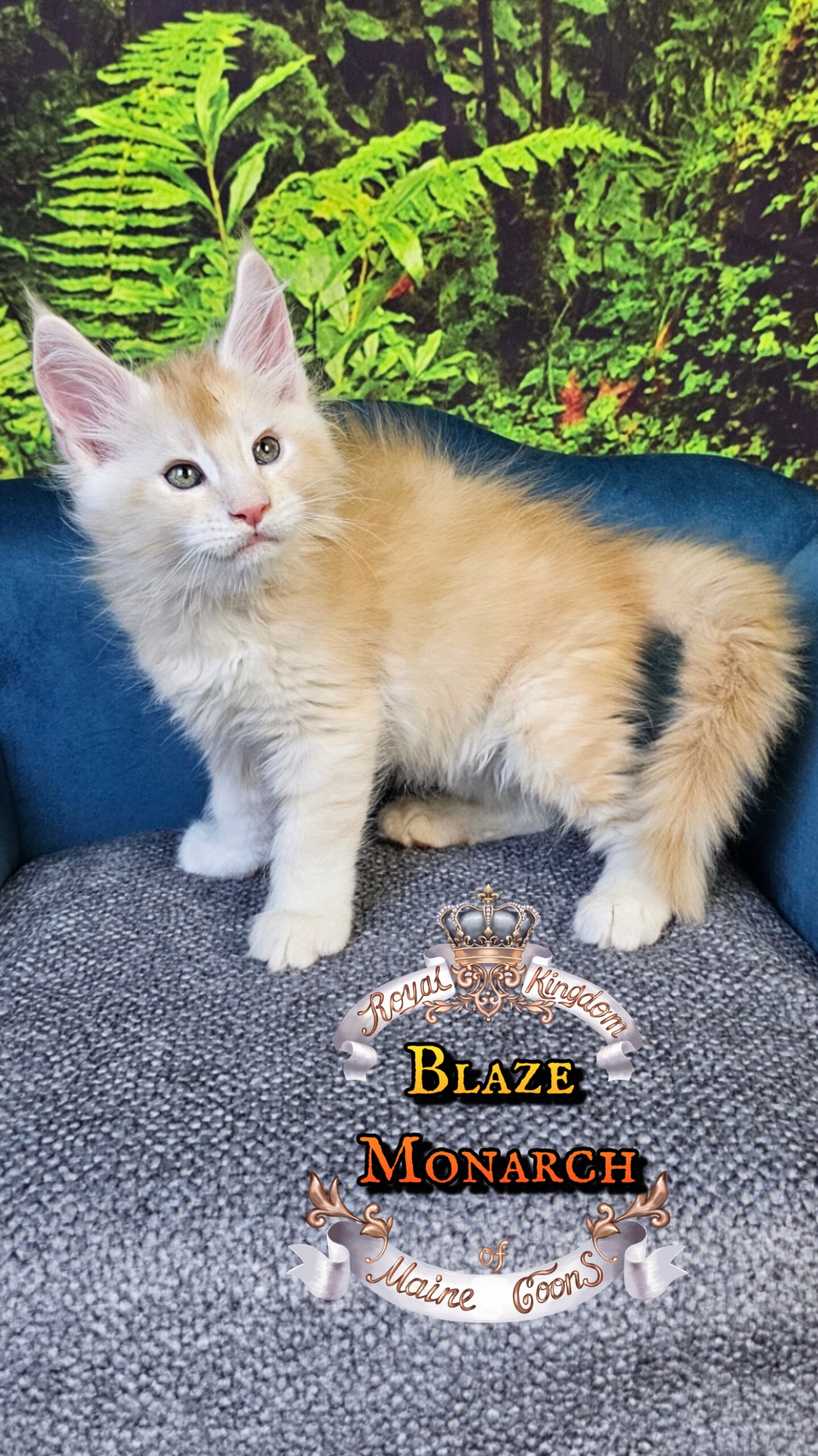 photocollage_202510140932690