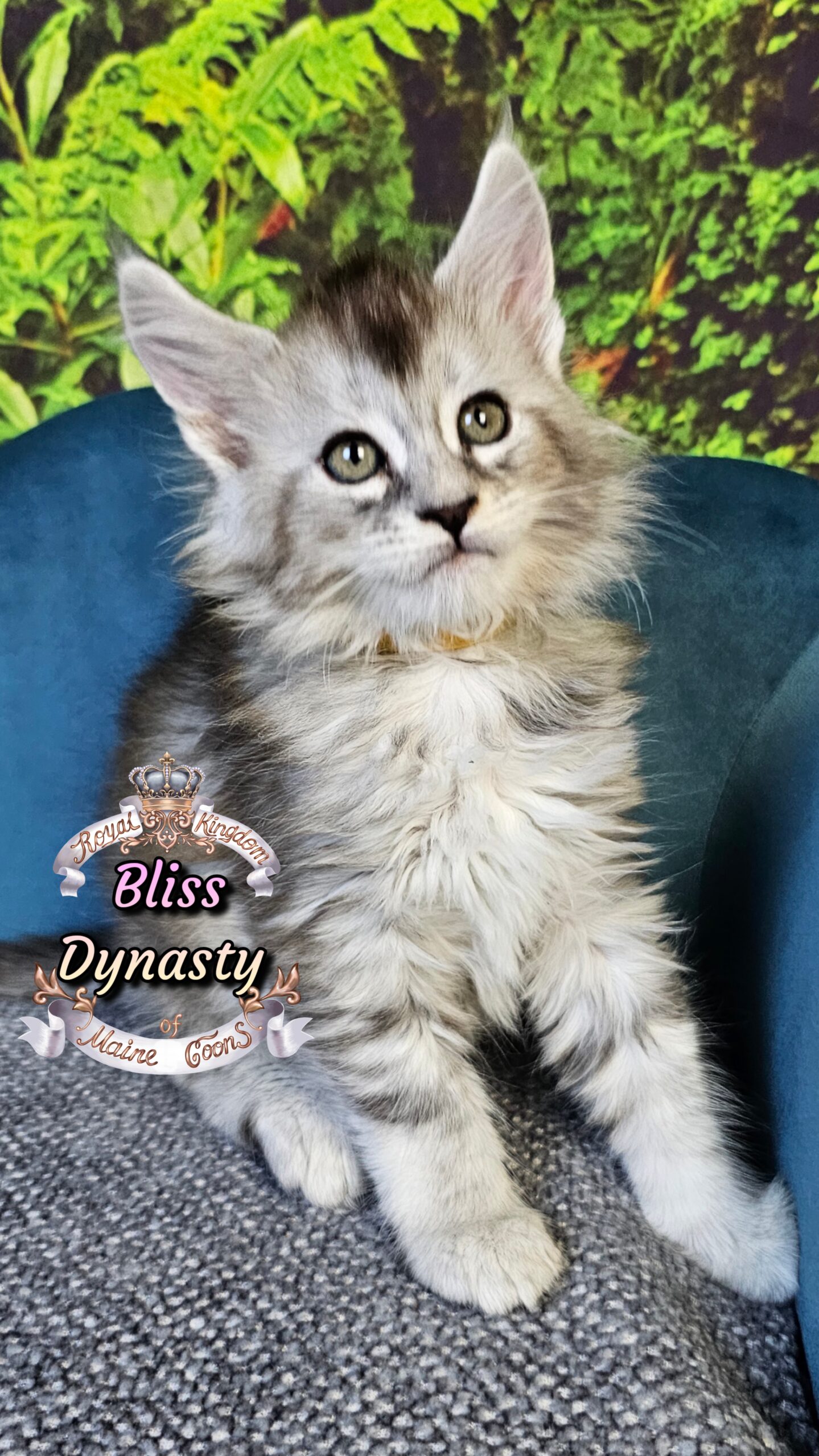 photocollage_2025101411025500