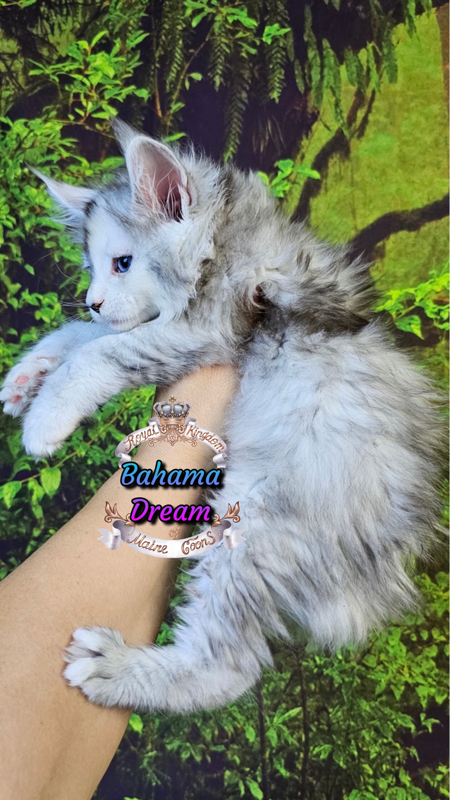 photocollage_202510141111775