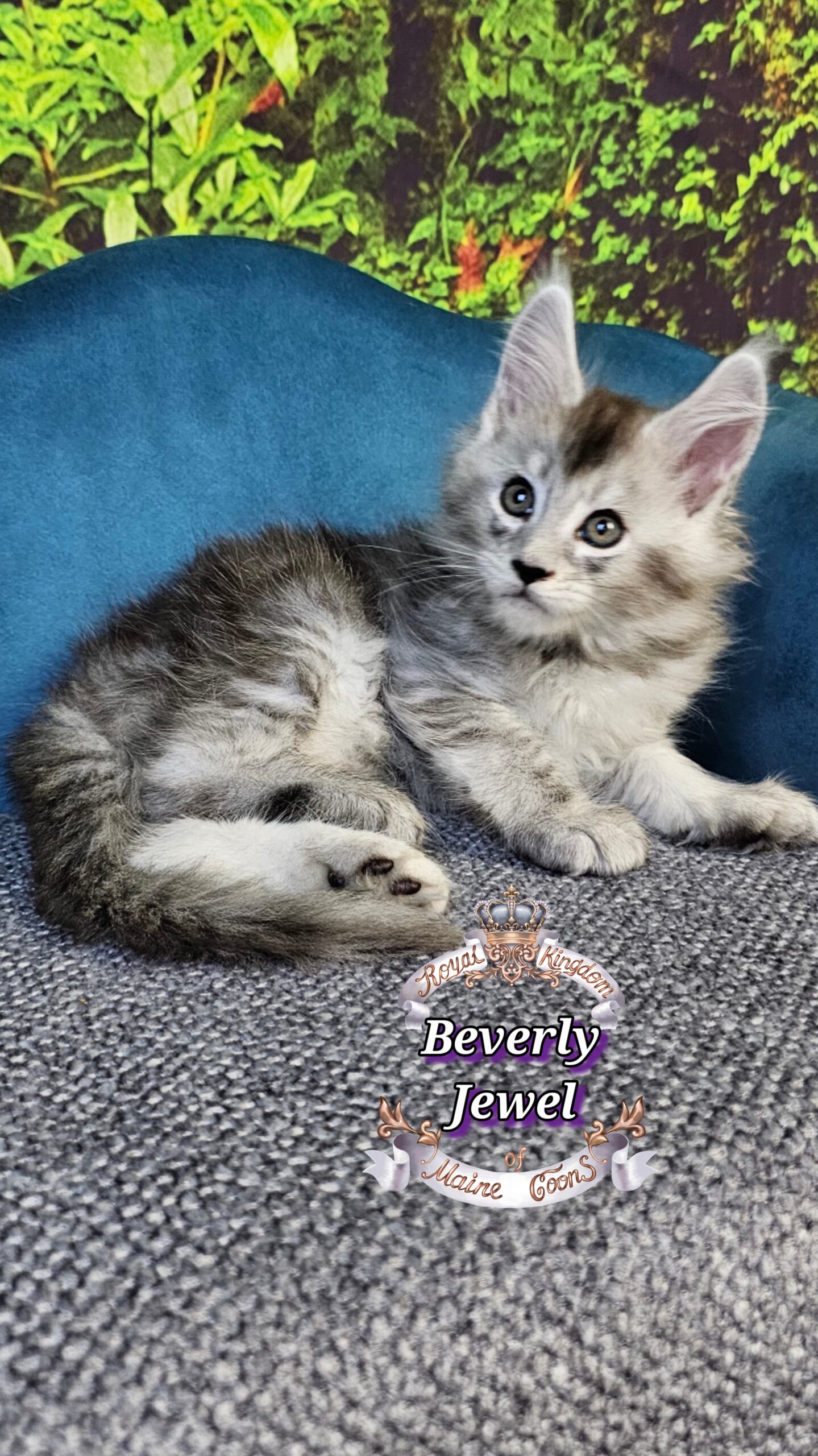 photocollage_2025101412040654